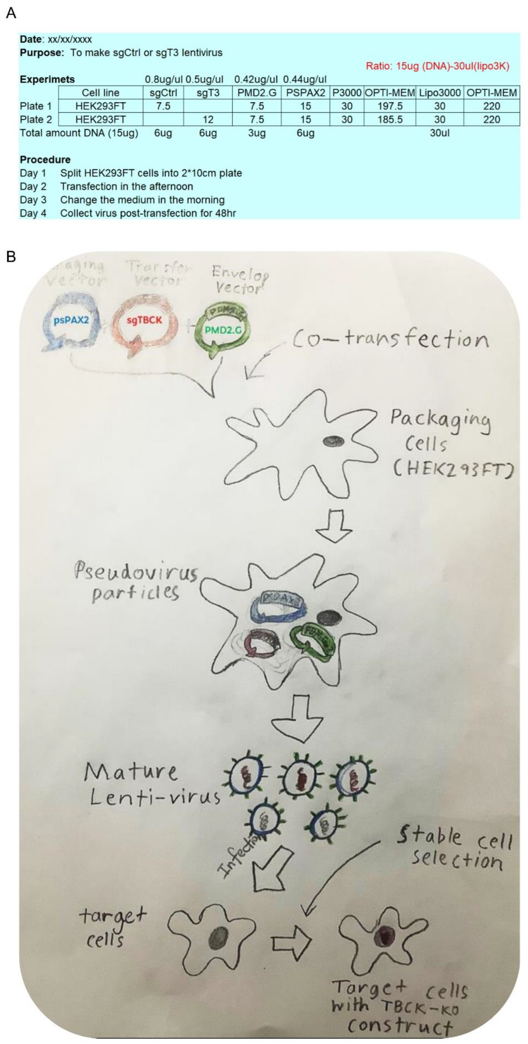 Preprints 83309 g005