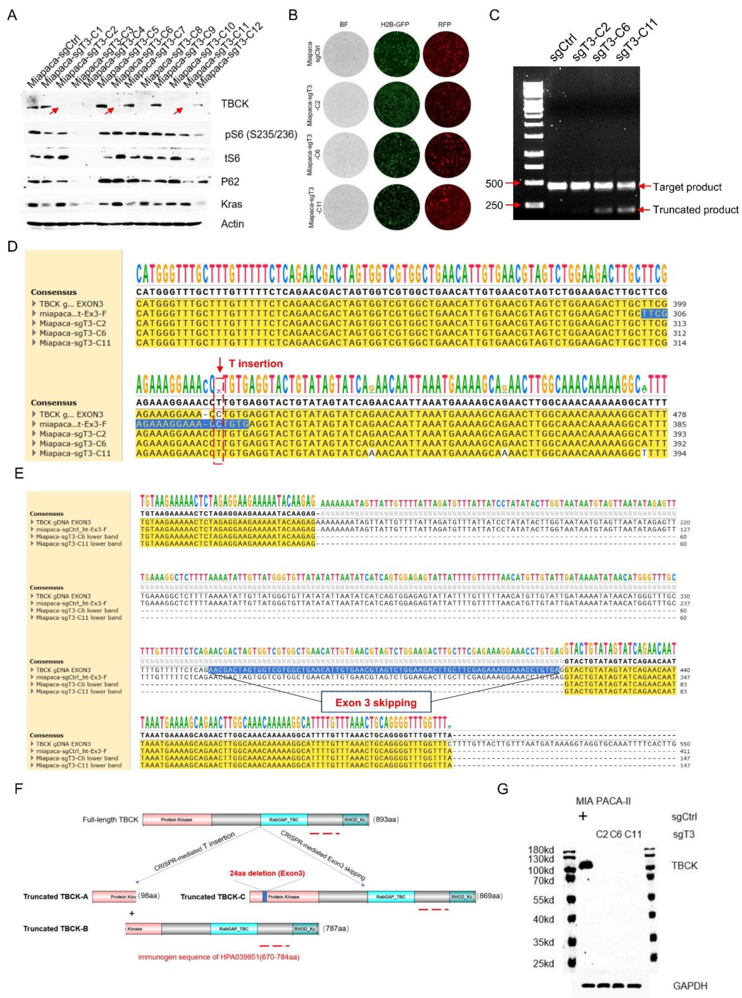 Preprints 83309 g006