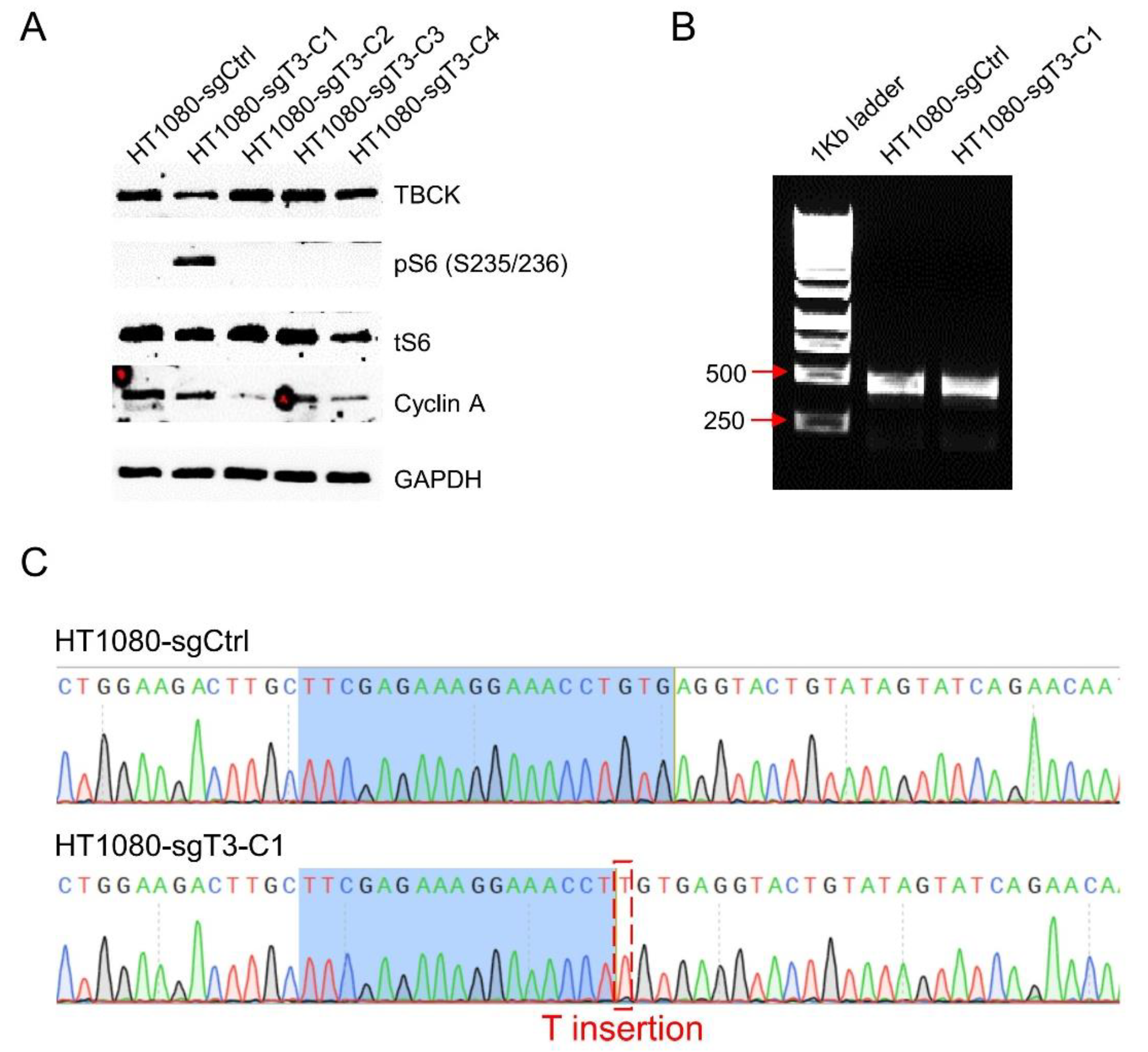 Preprints 83309 g007