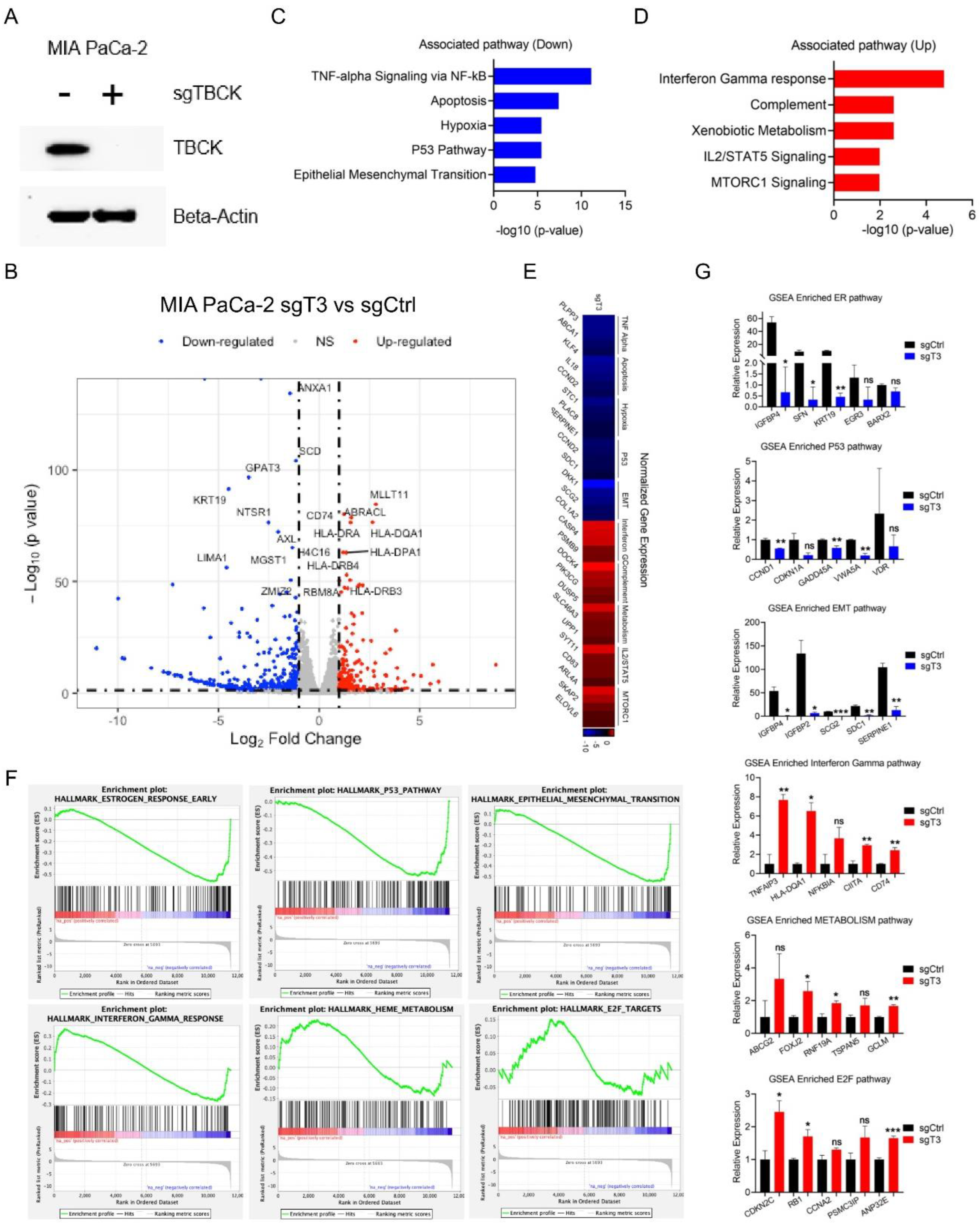 Preprints 83309 g009