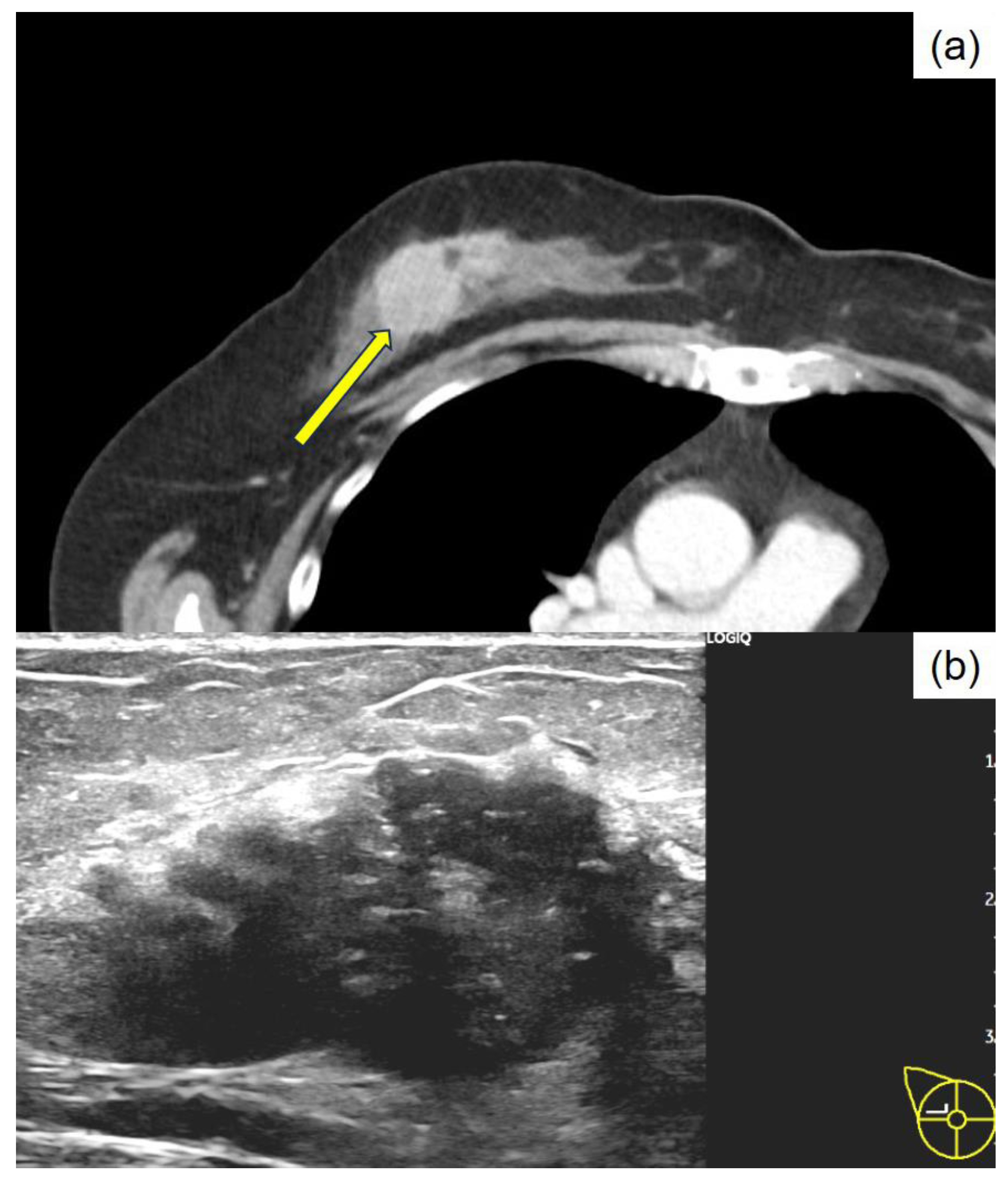 Preprints 162446 g001