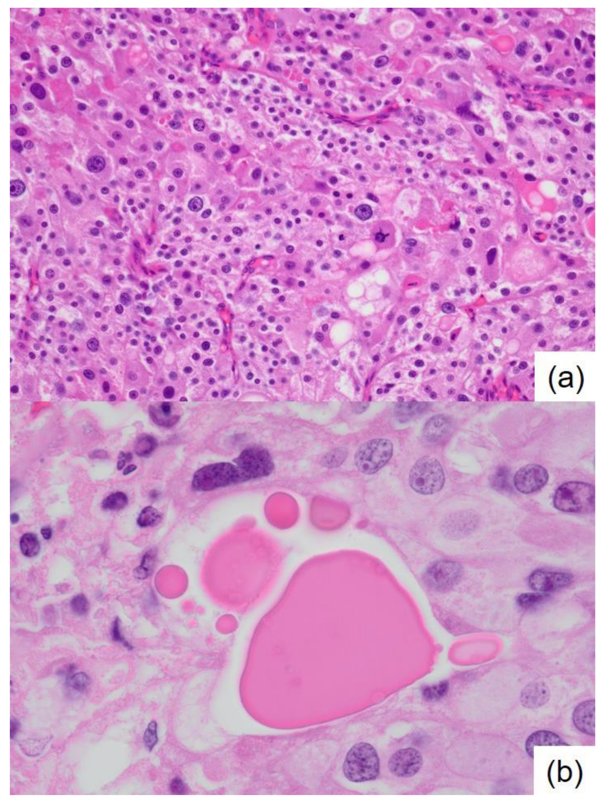 Preprints 162446 g003