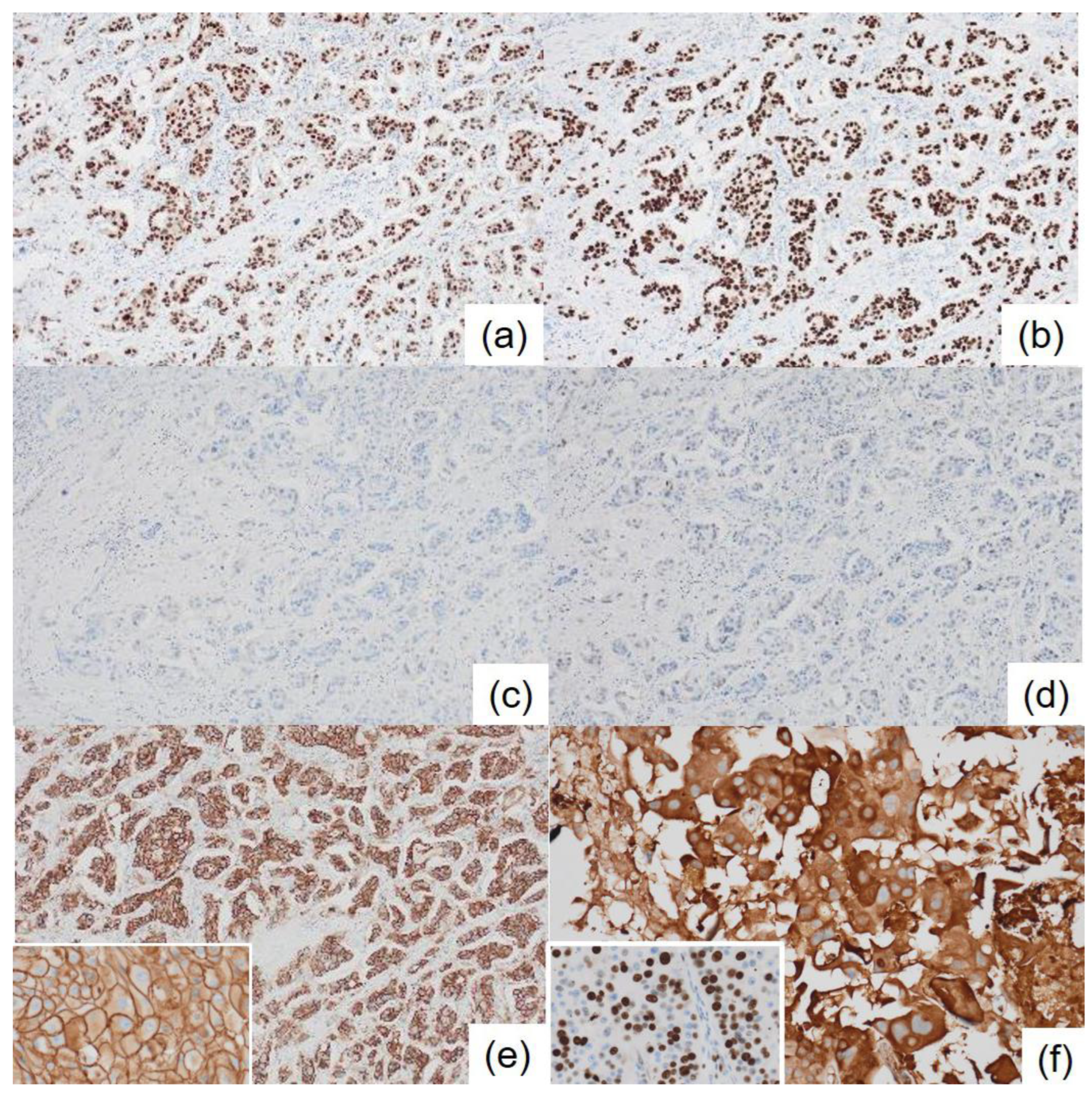 Preprints 162446 g004