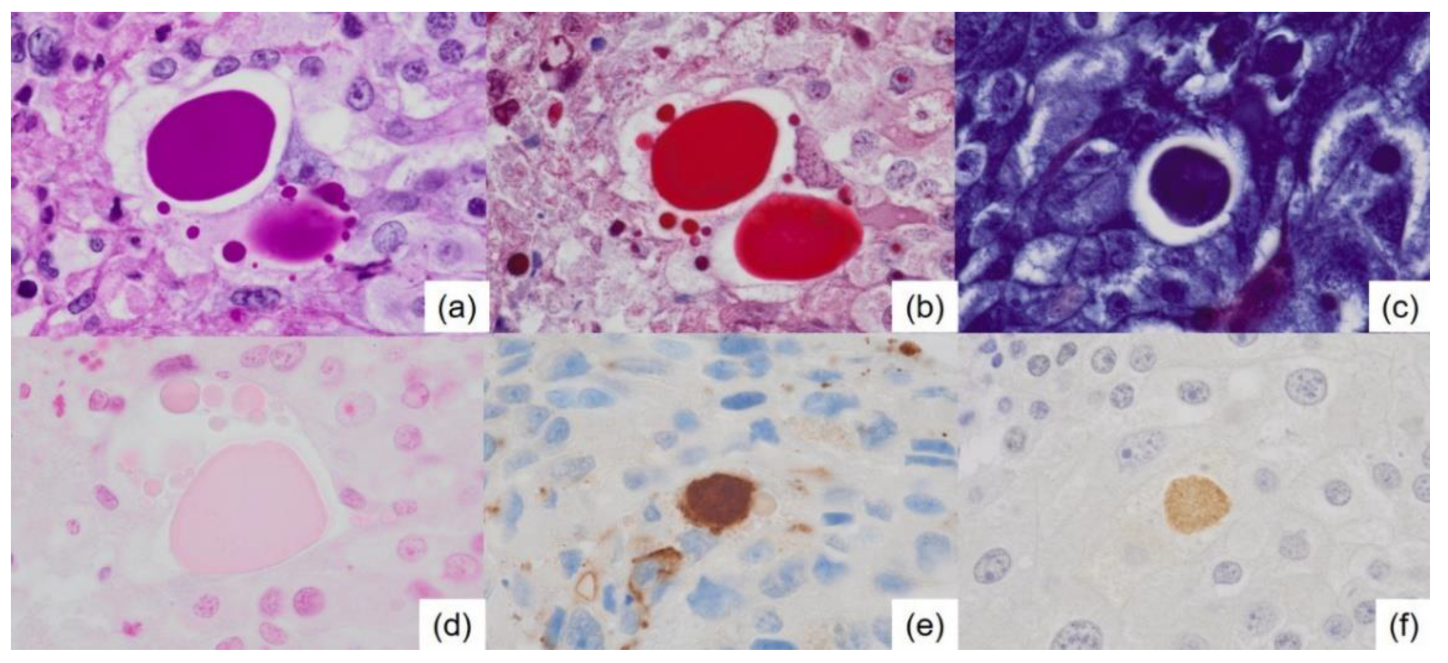 Preprints 162446 g005