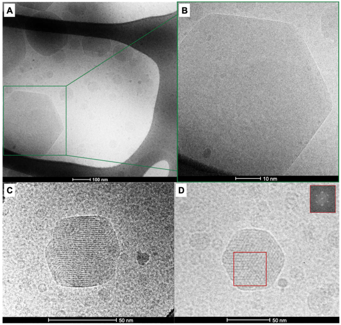 Preprints 224482 g003