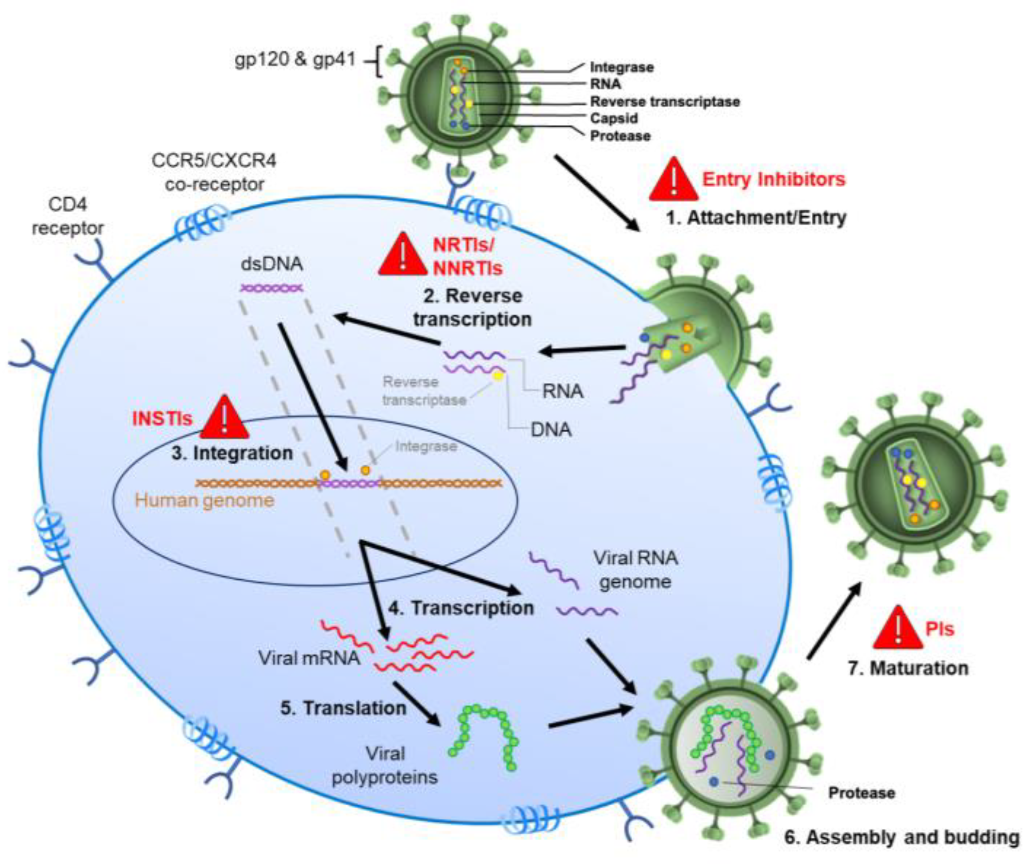 Preprints 163151 g001
