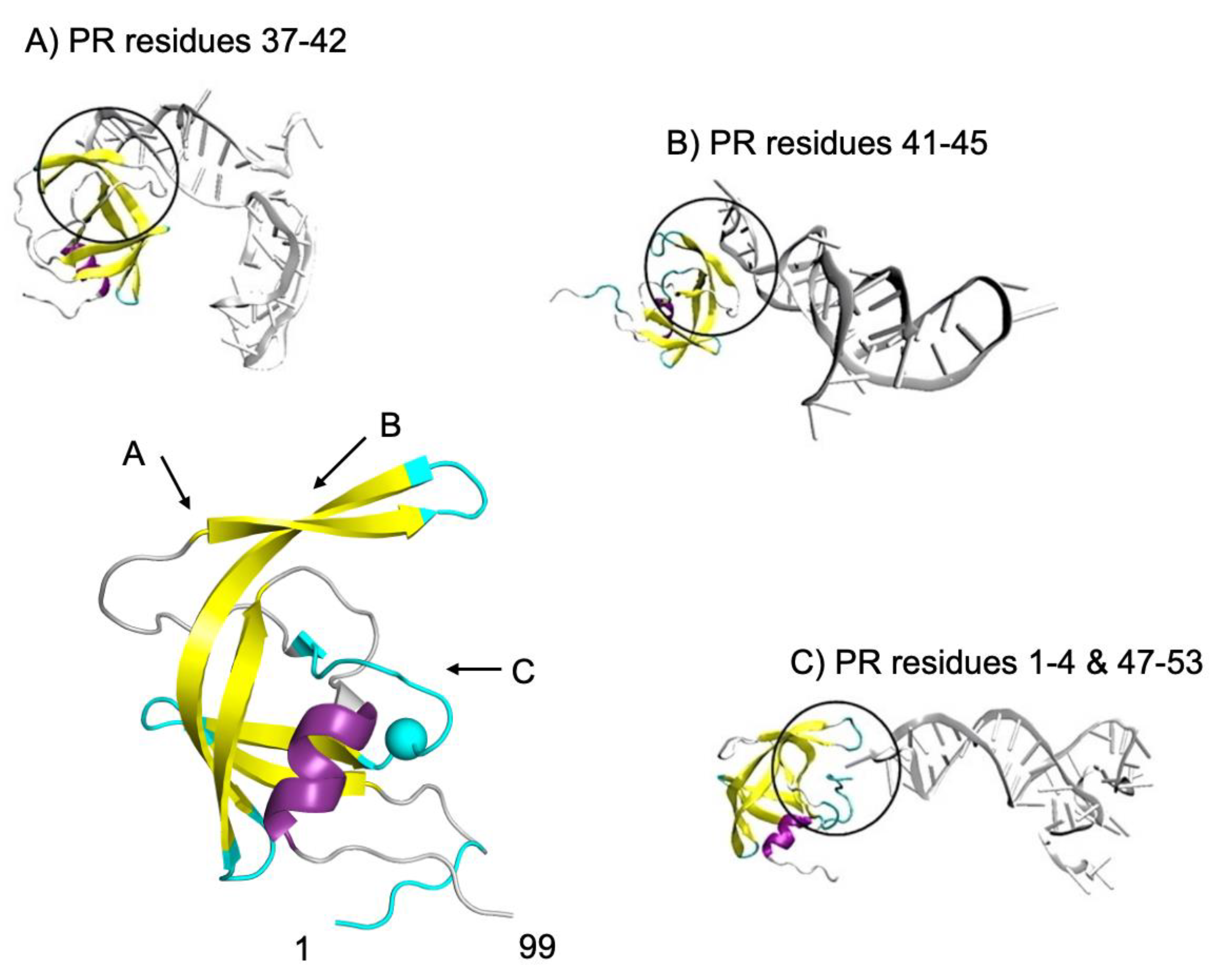 Preprints 163151 g011