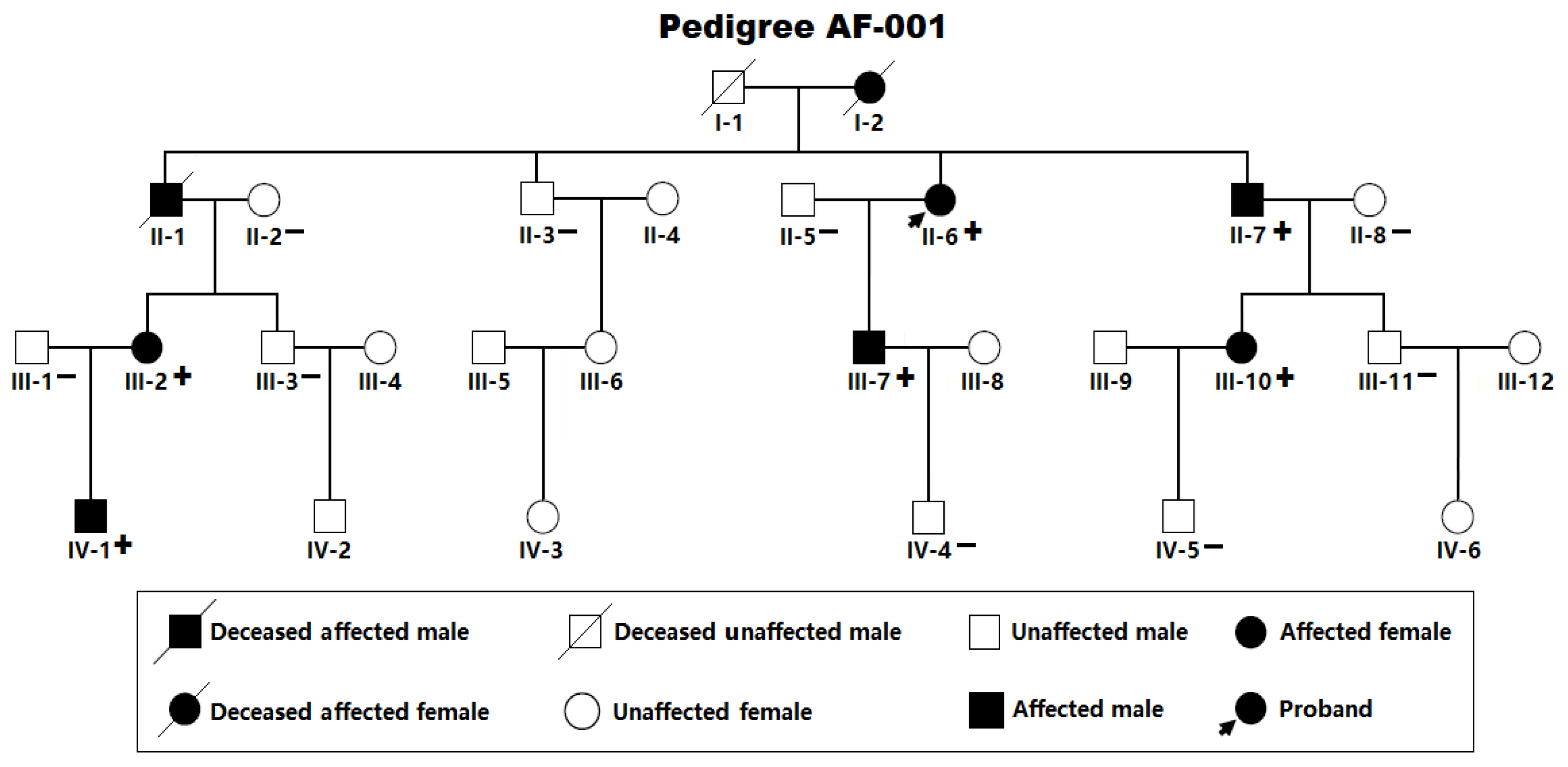 Preprints 180736 g001
