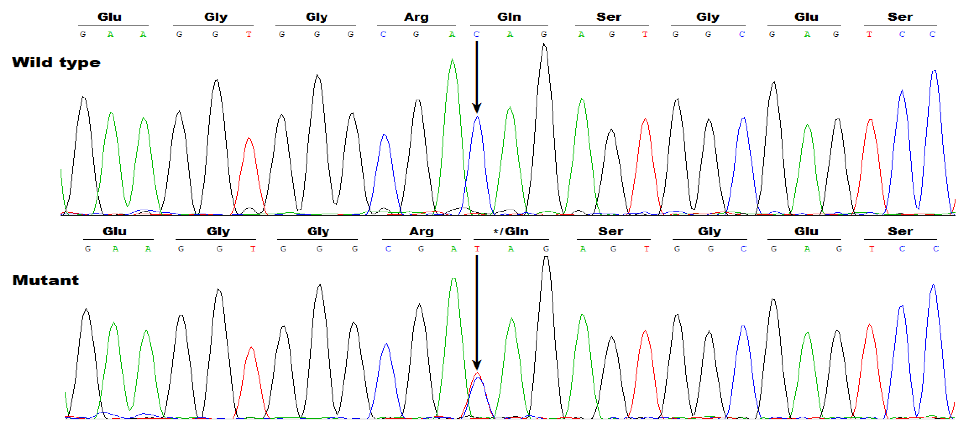 Preprints 180736 g003