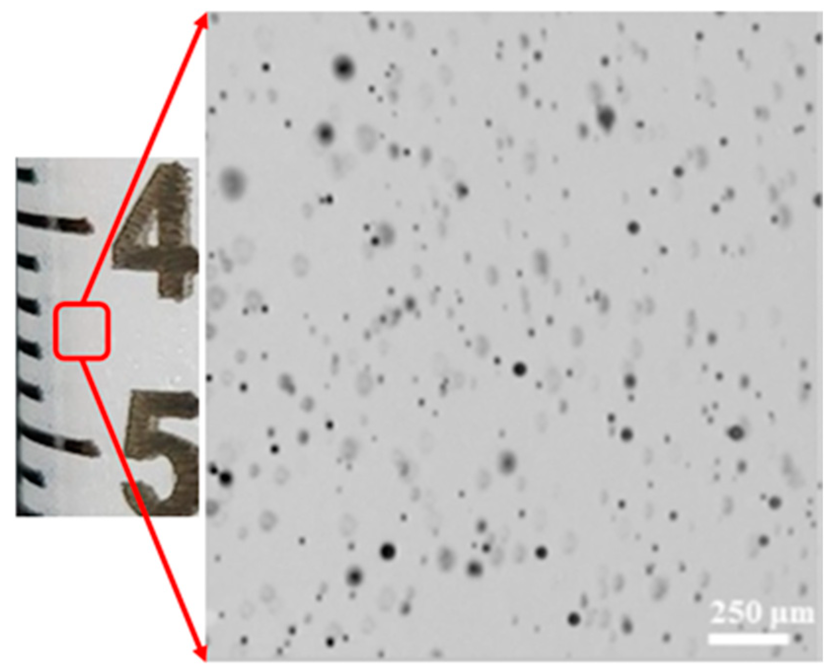 Preprints 83965 g003