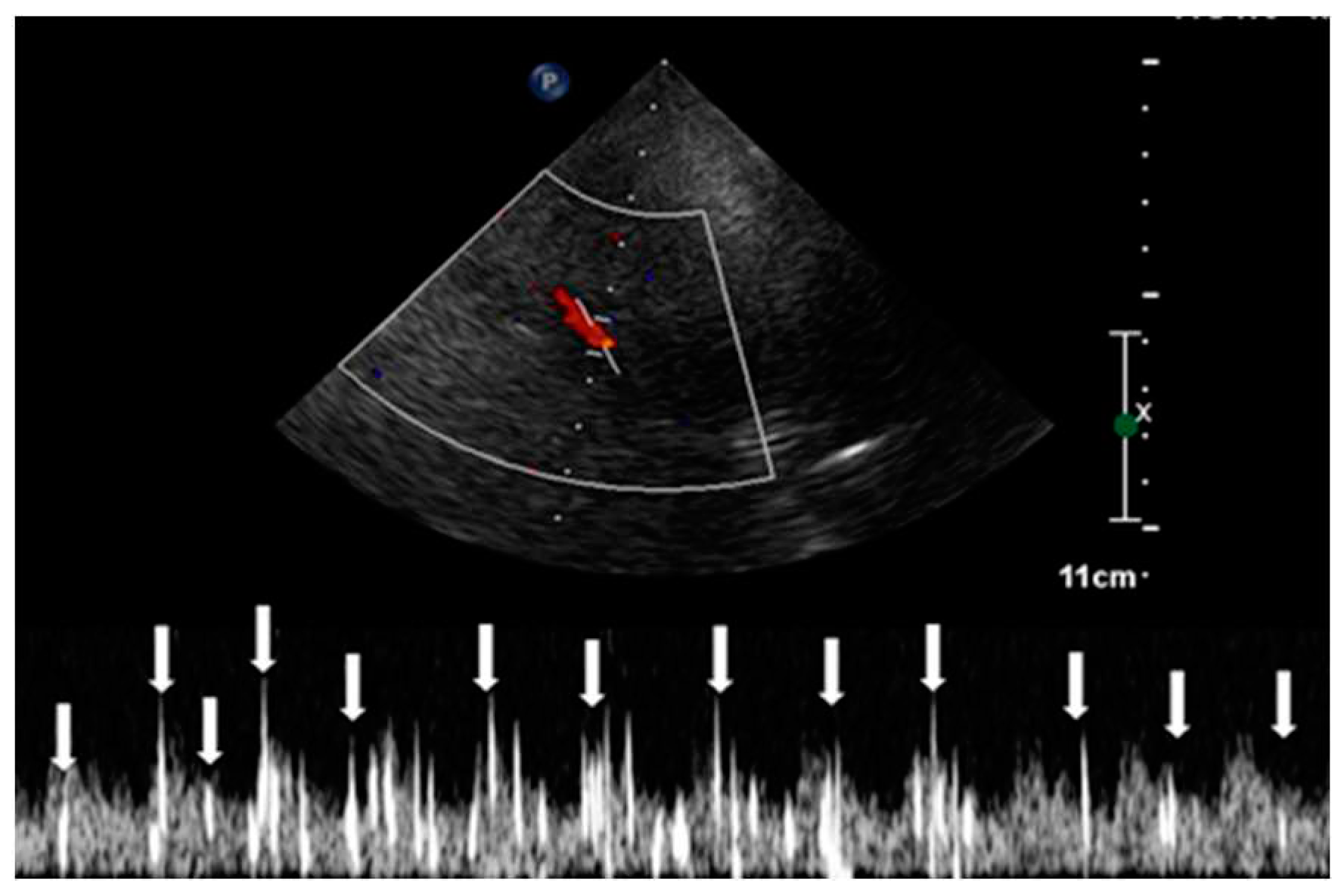 Preprints 83965 g005
