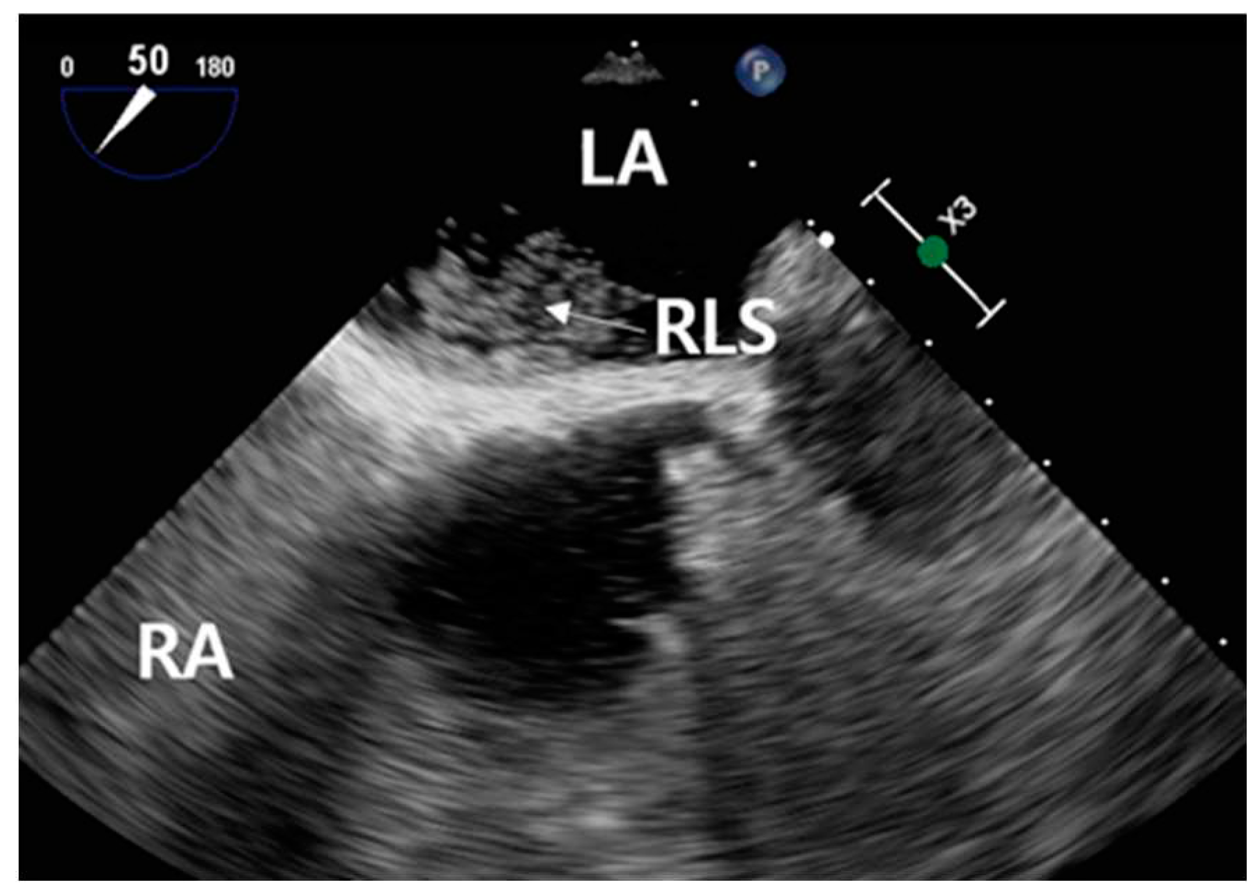 Preprints 83965 g008
