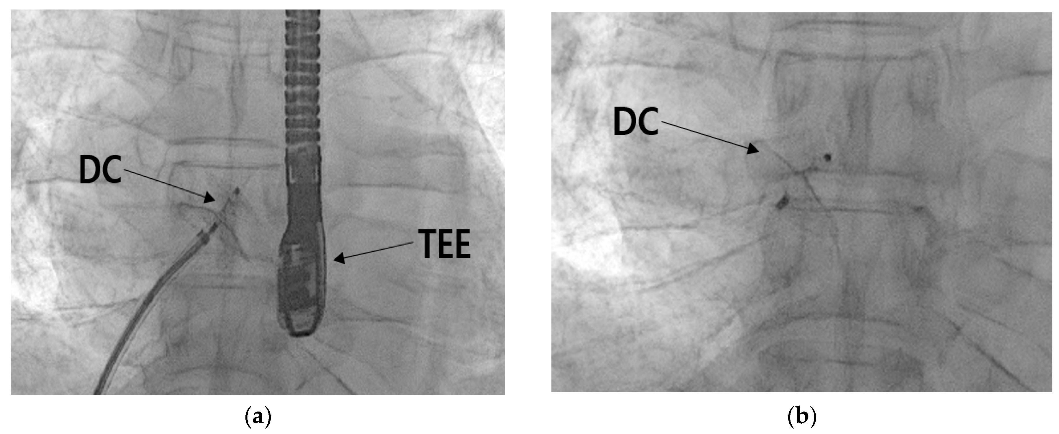 Preprints 83965 g009