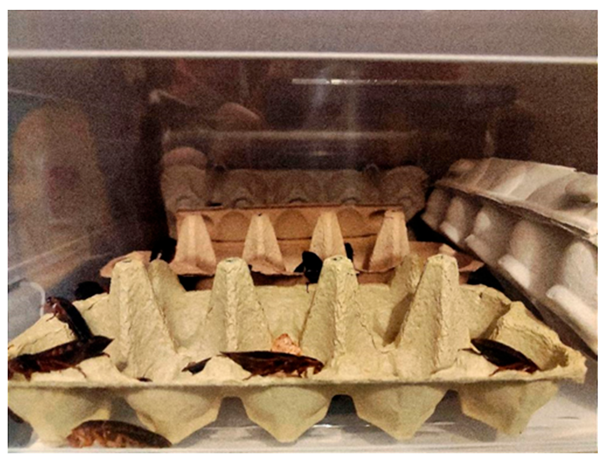 Preprints 196615 g004