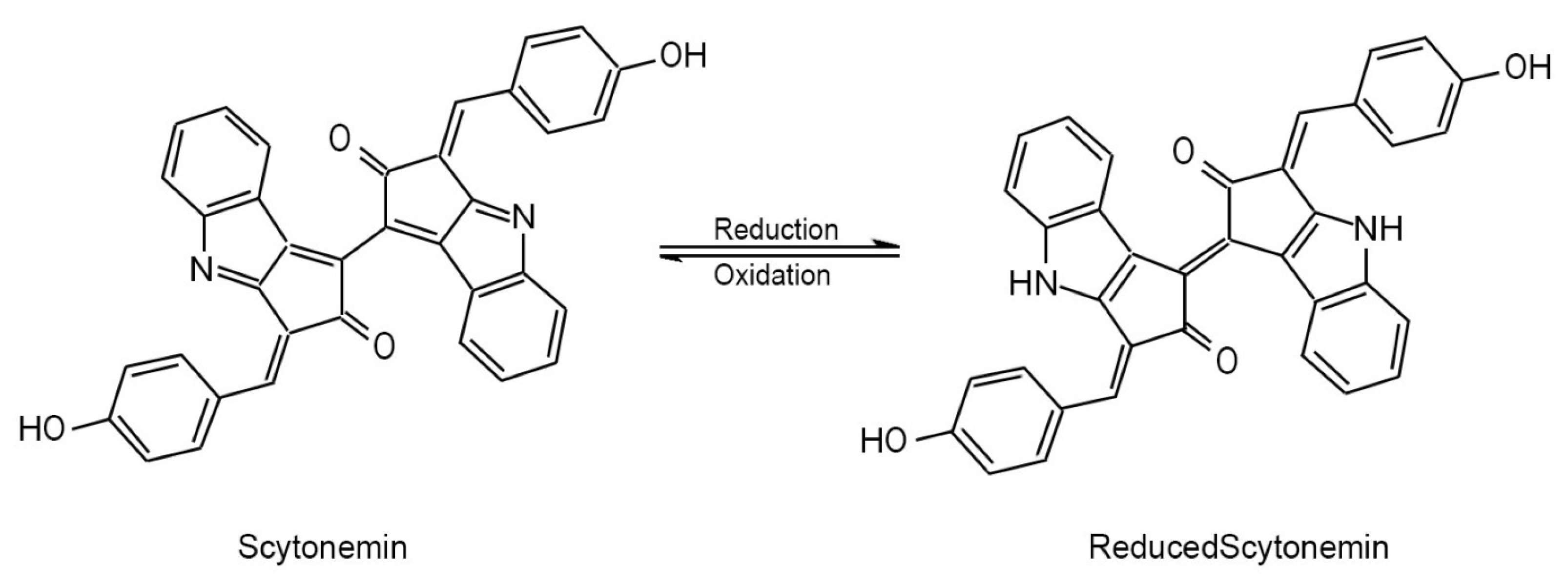 Preprints 158238 g002