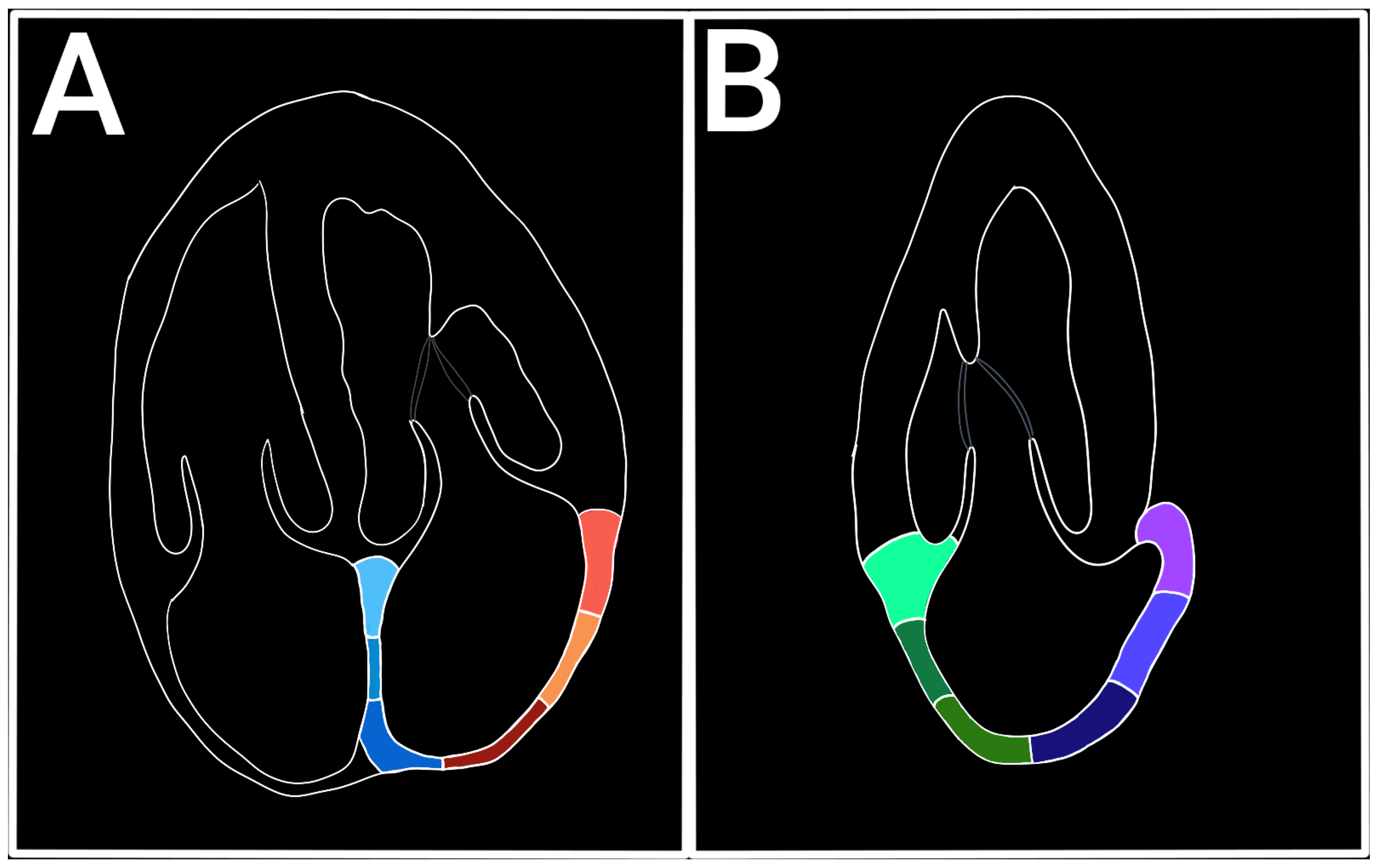 Preprints 157852 g002