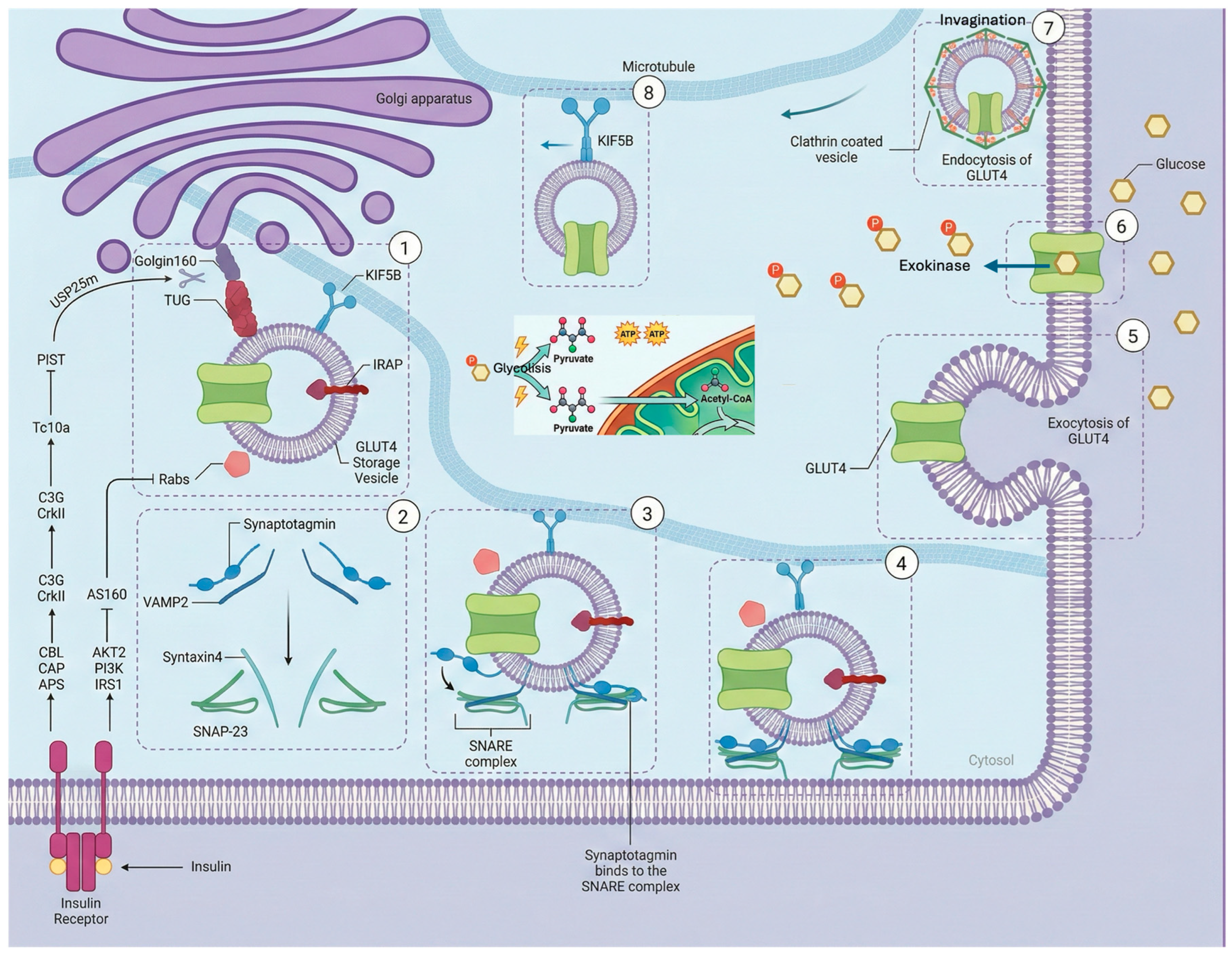 Preprints 201651 g005