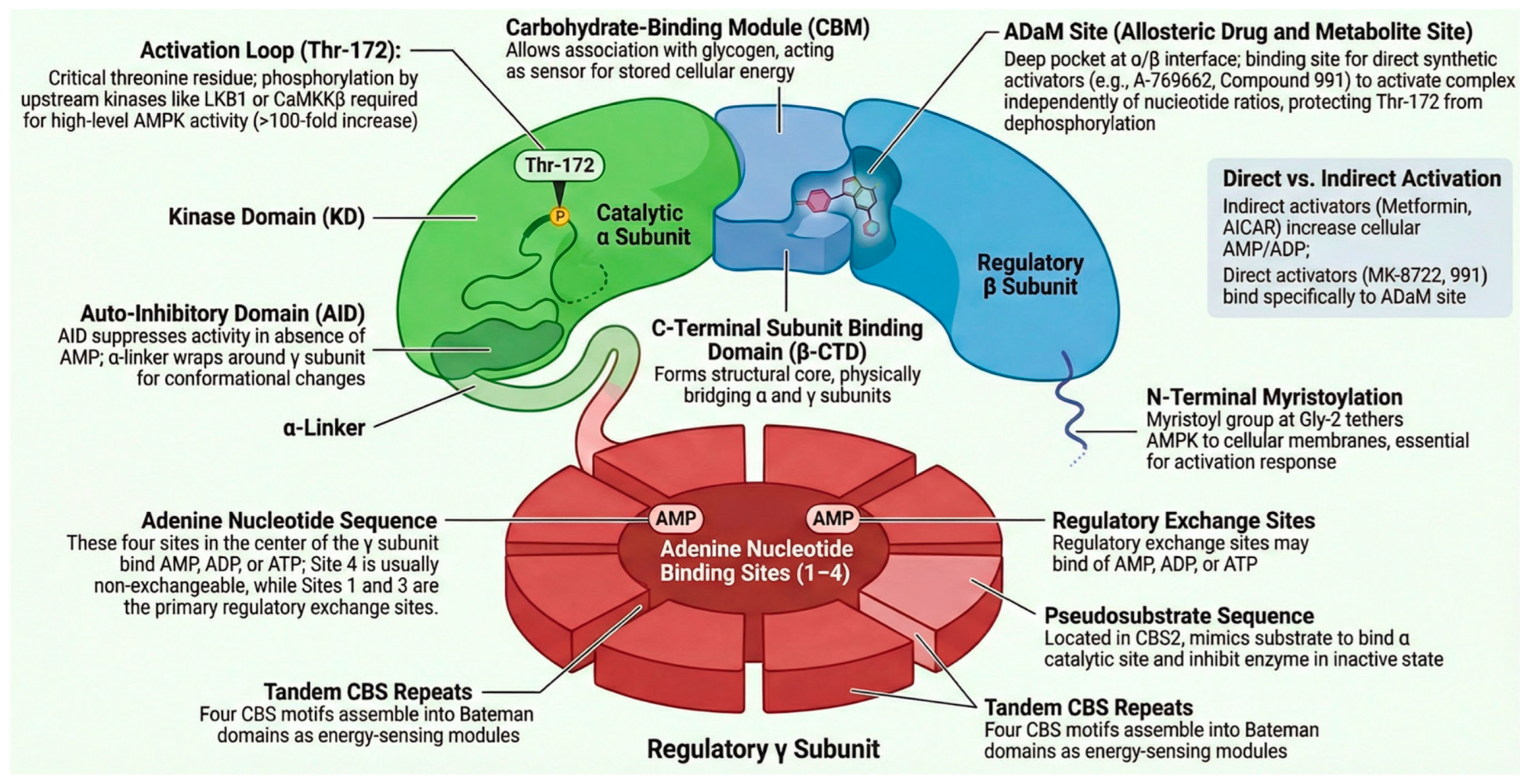 Preprints 201651 g006