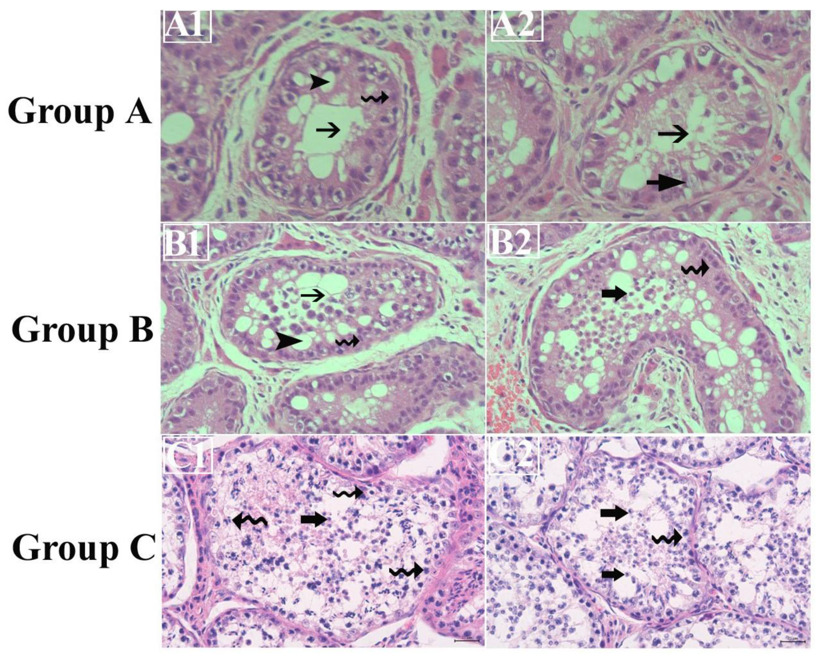 Preprints 147738 g003