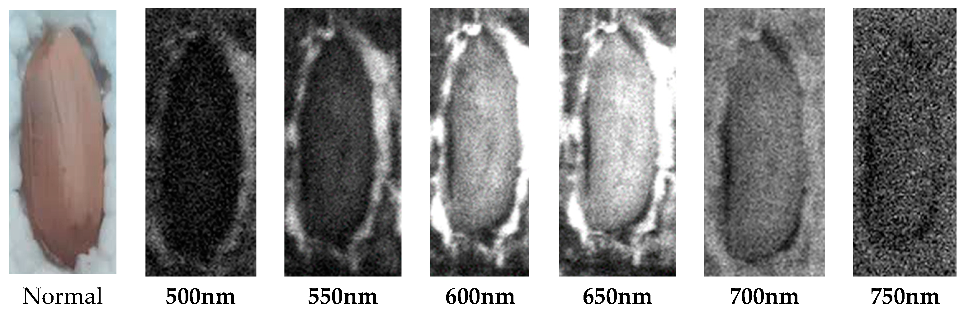 Preprints 91360 g001