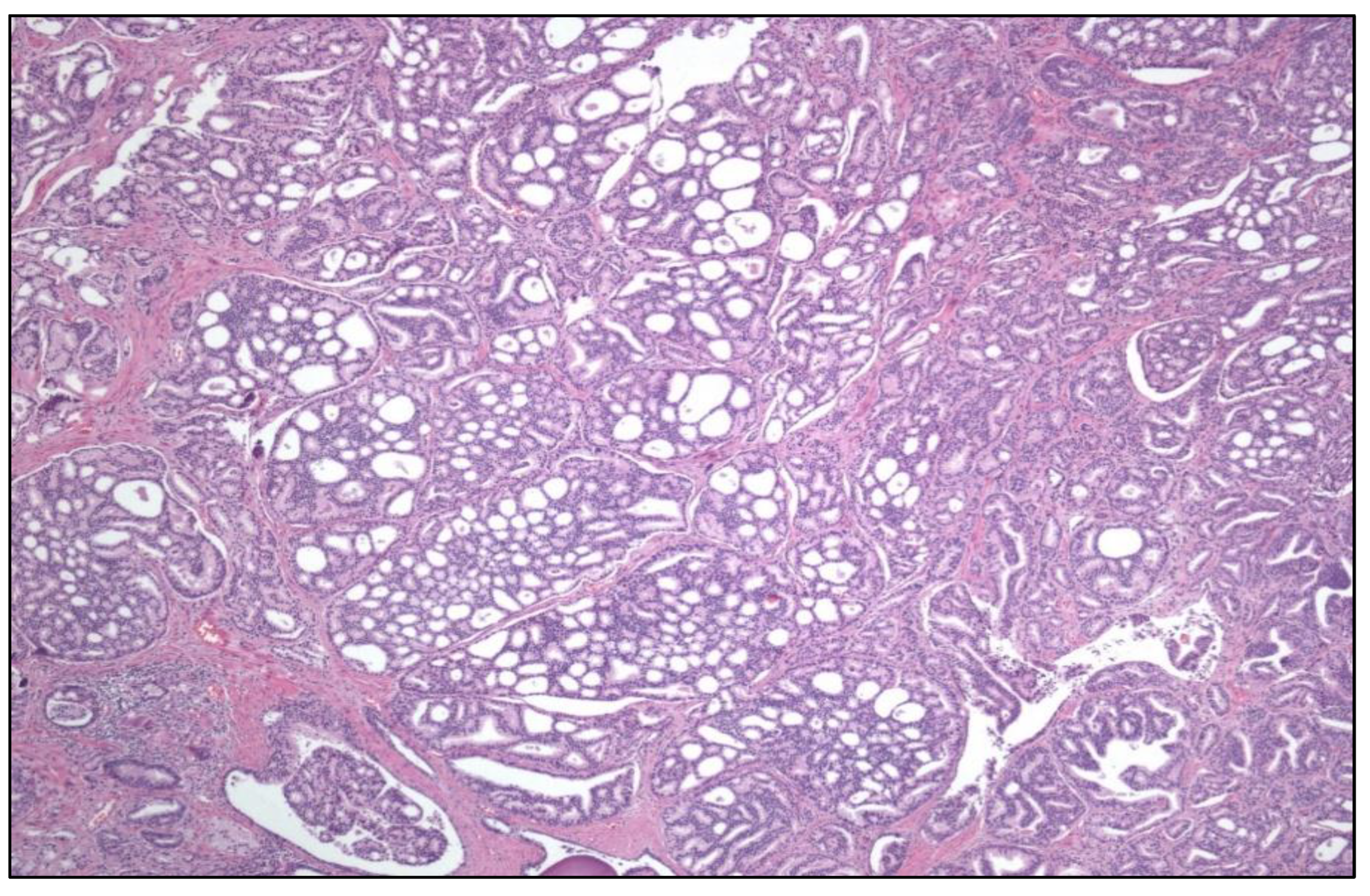 Preprints 151098 g001