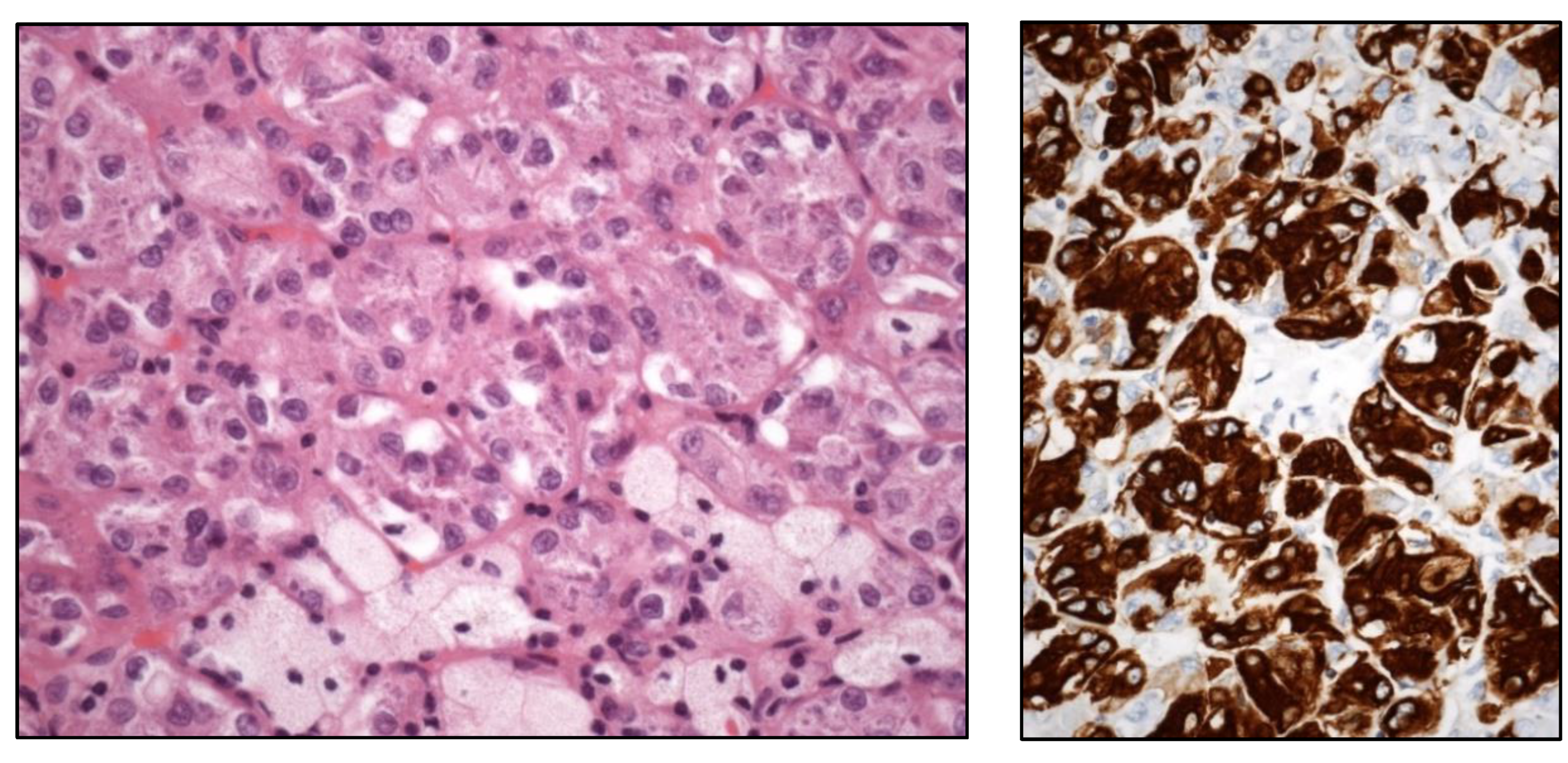 Preprints 151098 g002