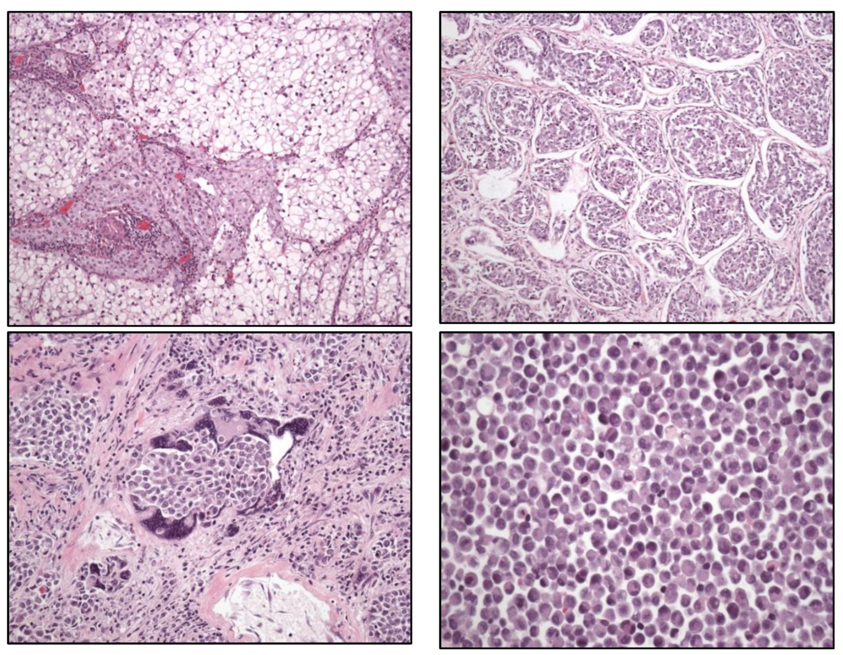 Preprints 151098 g003