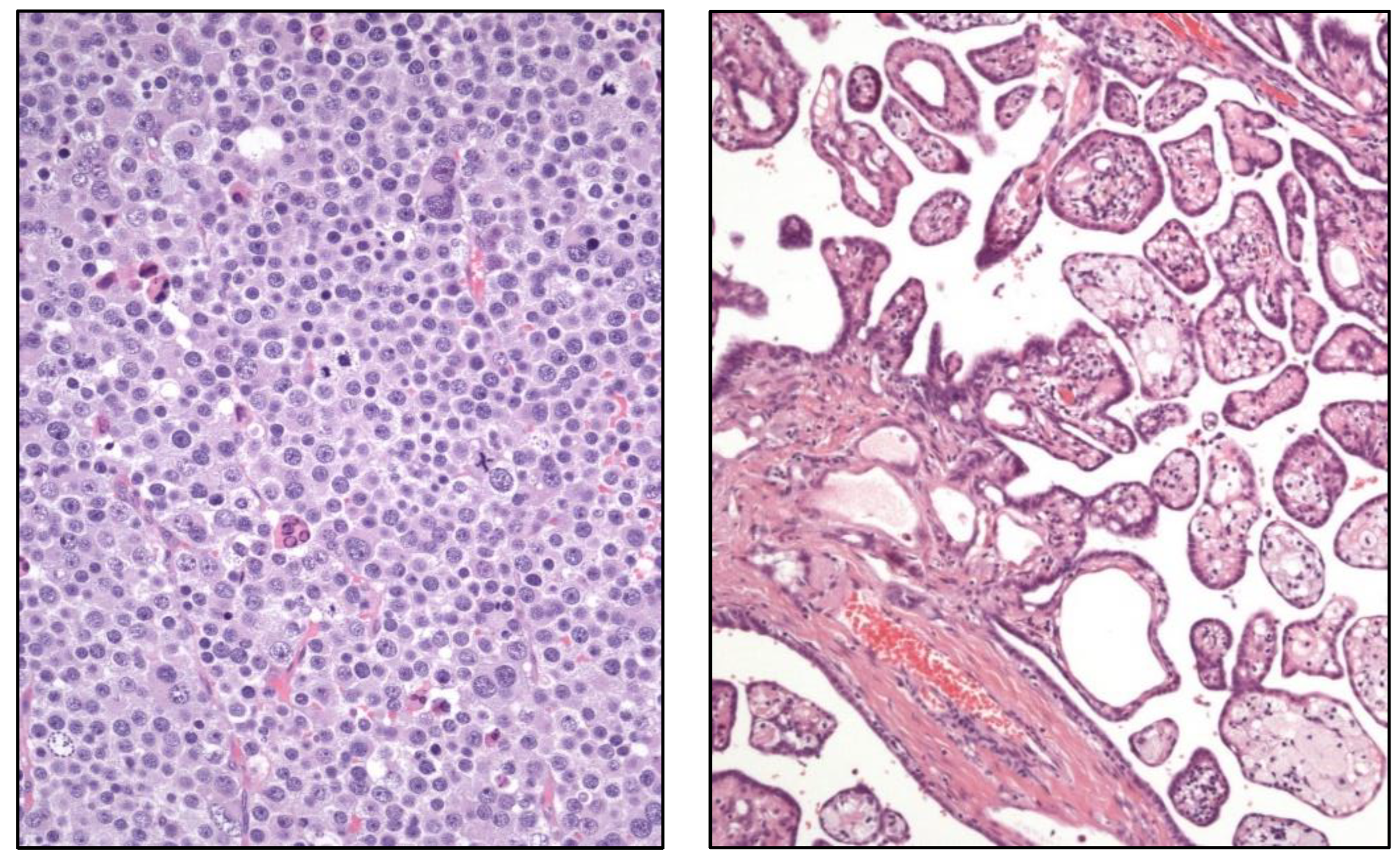 Preprints 151098 g004