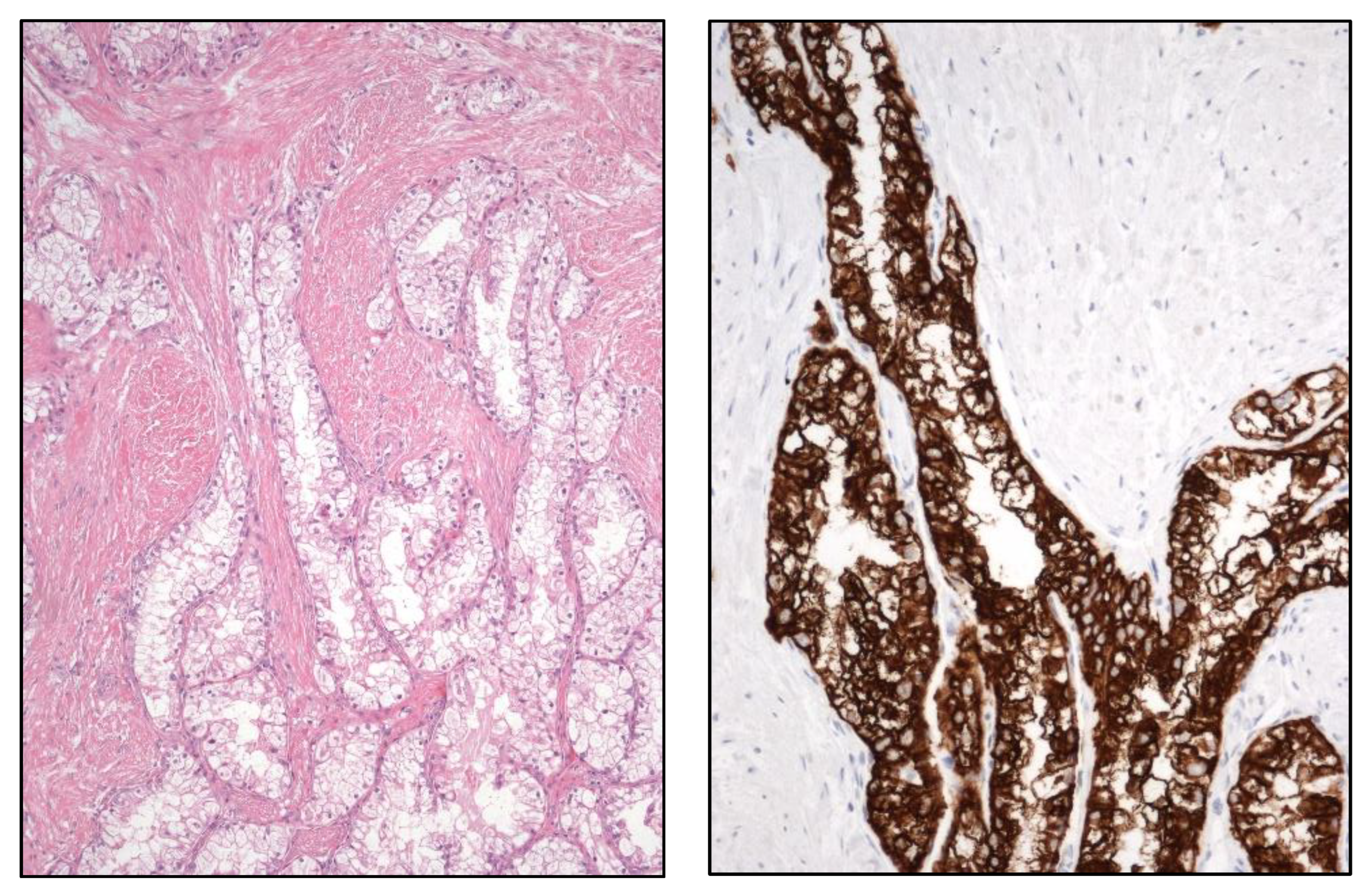 Preprints 151098 g006