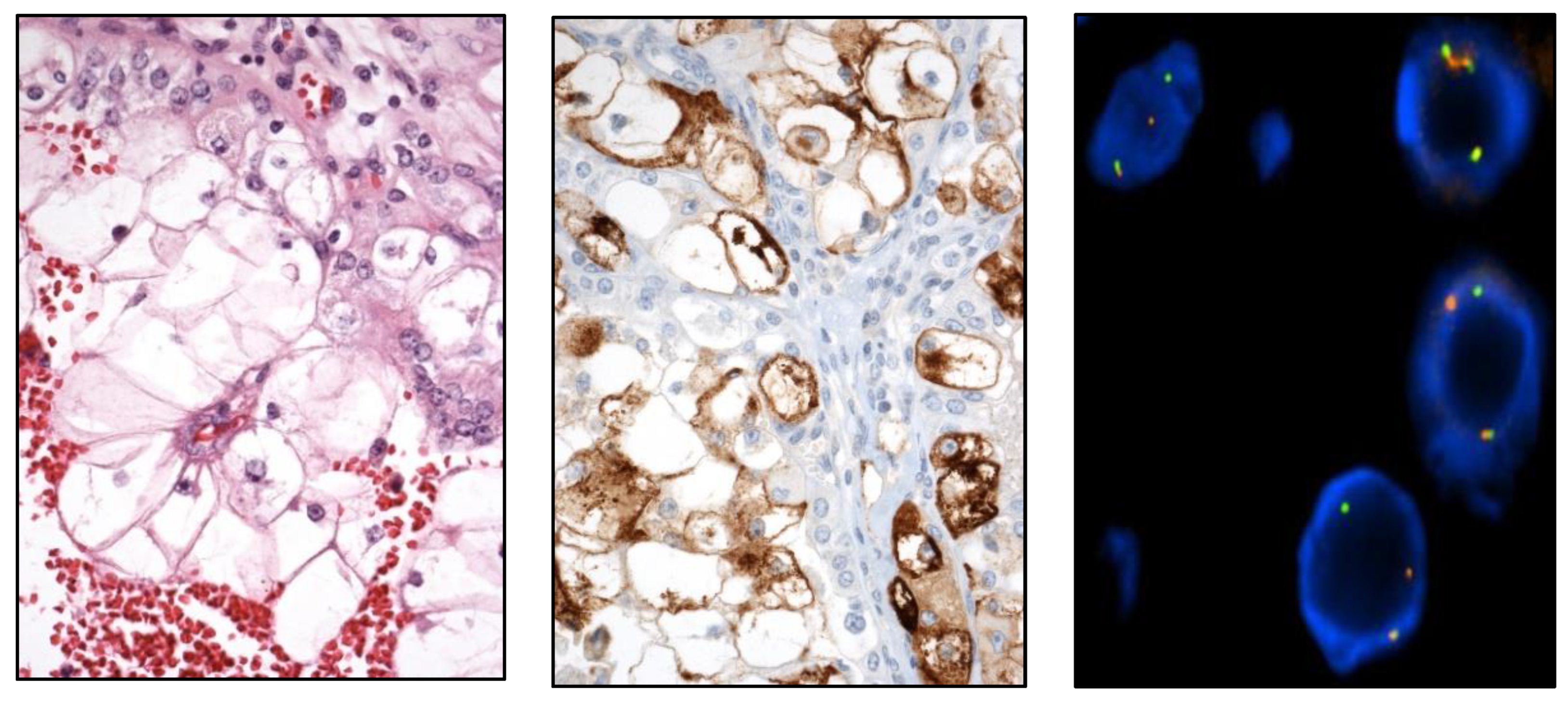Preprints 151098 g007