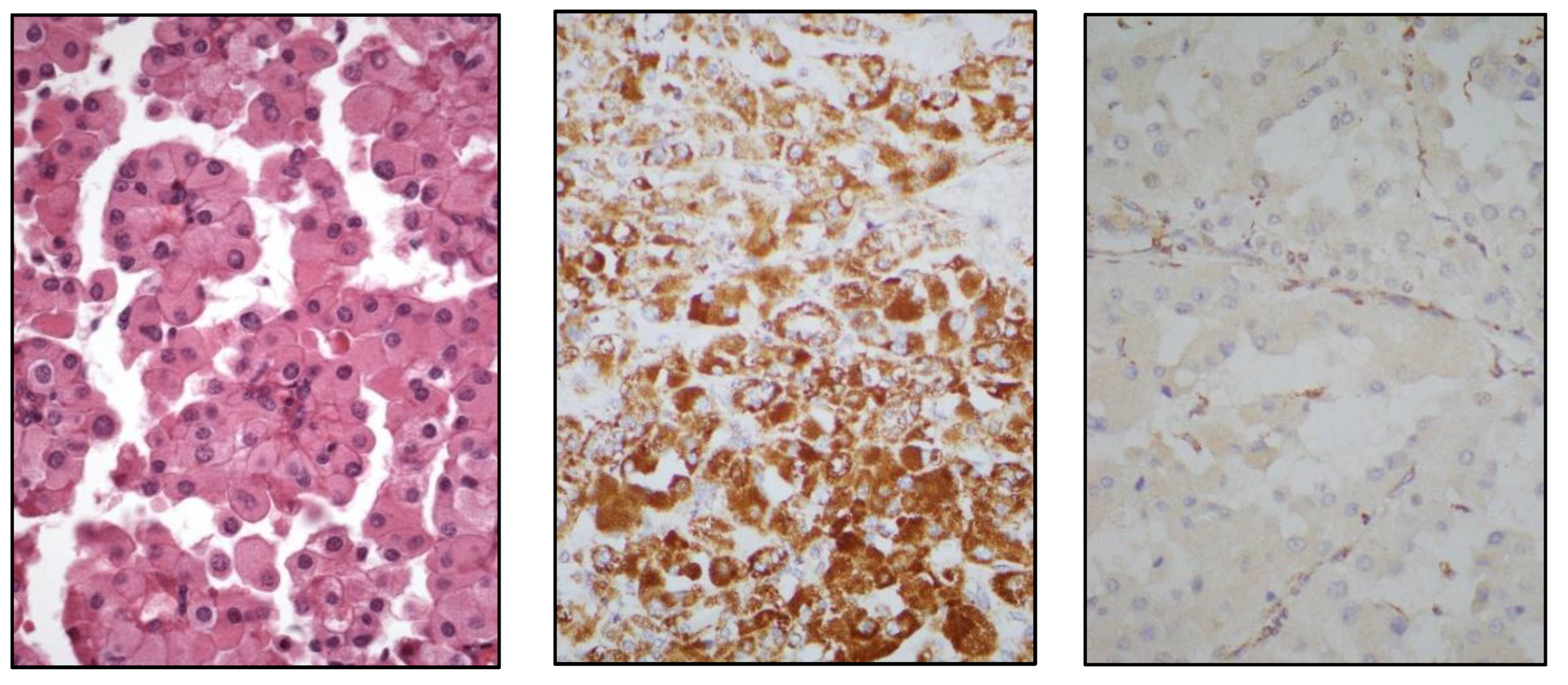 Preprints 151098 g008