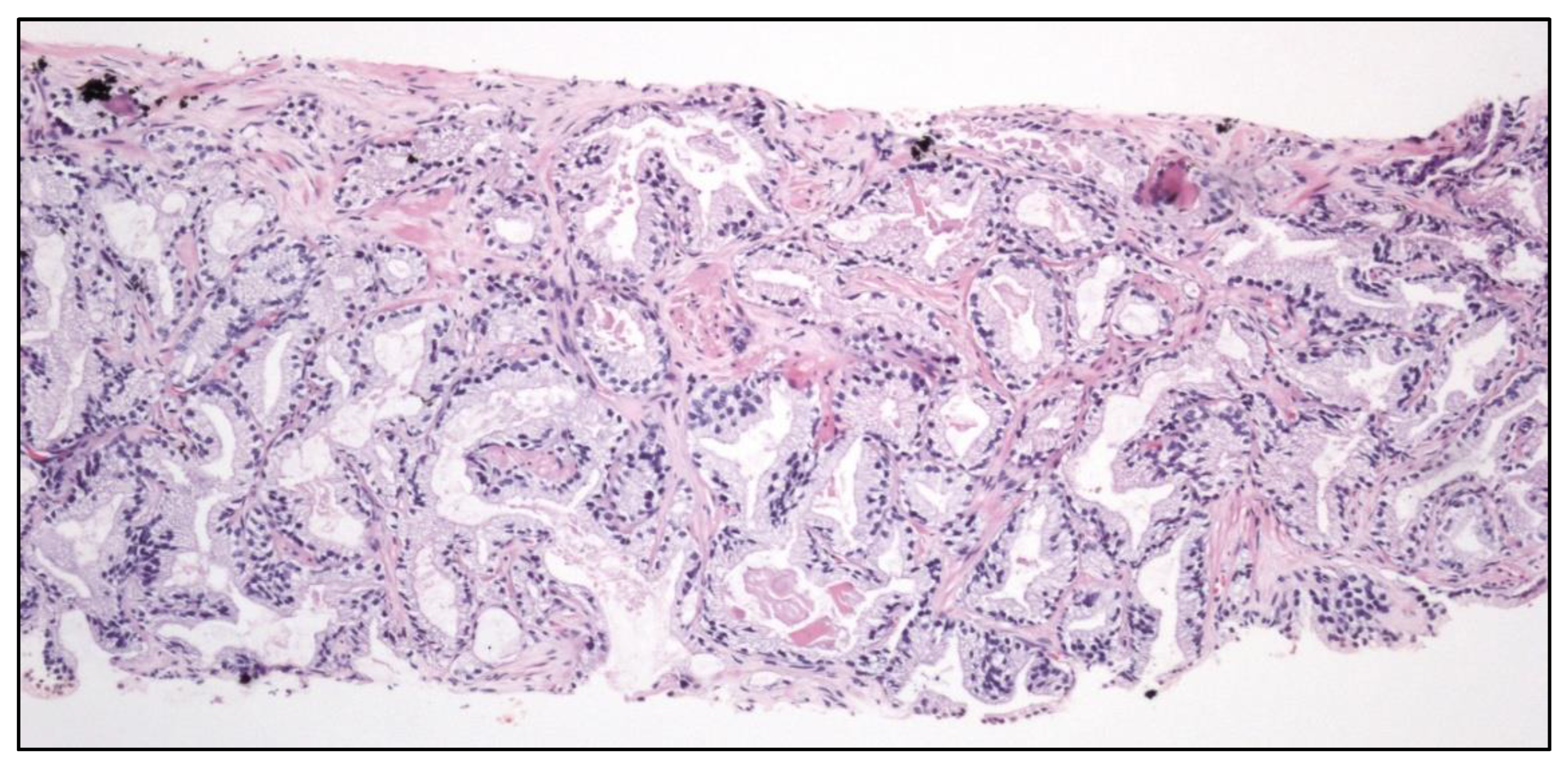 Preprints 151098 g011