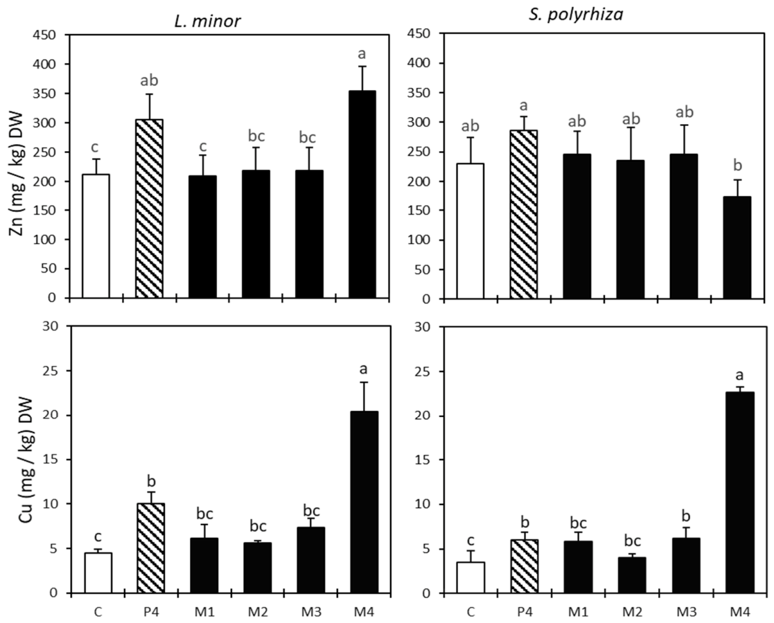 Preprints 230076 g001 Preprints 230076 g001