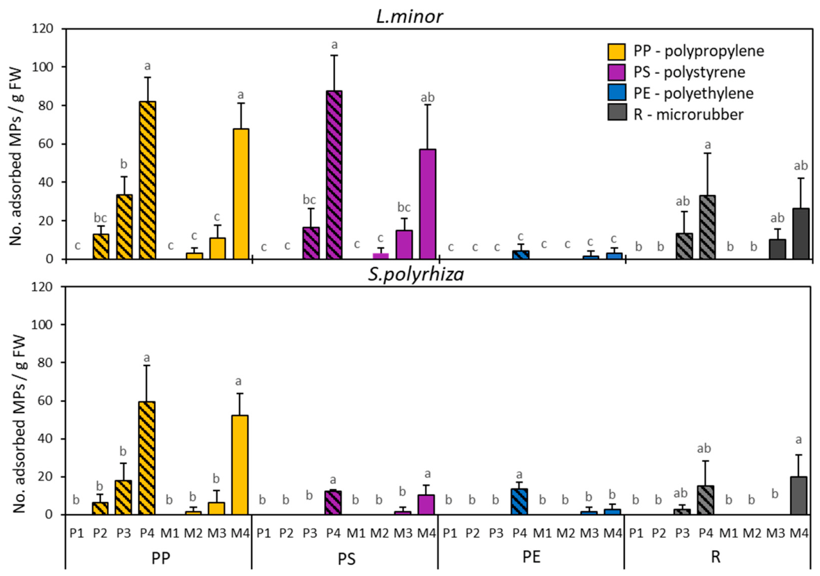 Preprints 230076 g003 Preprints 230076 g003