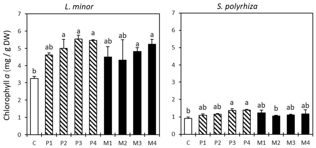 Preprints 230076 g004 Preprints 230076 g004