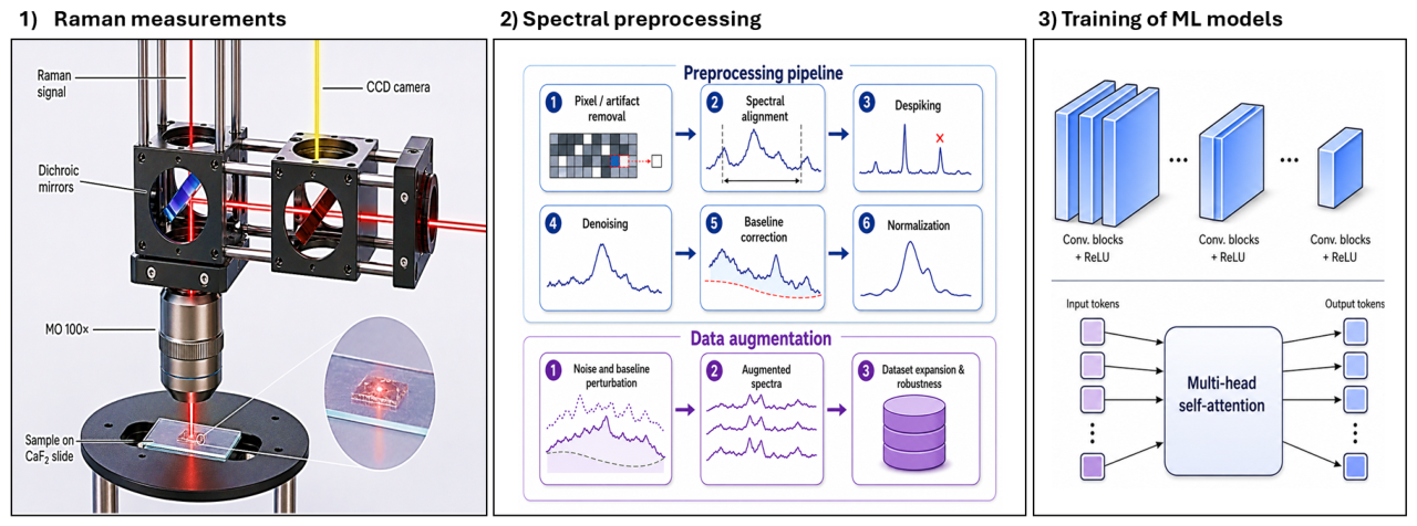 Preprints 217574 g001 Preprints 217574 g001