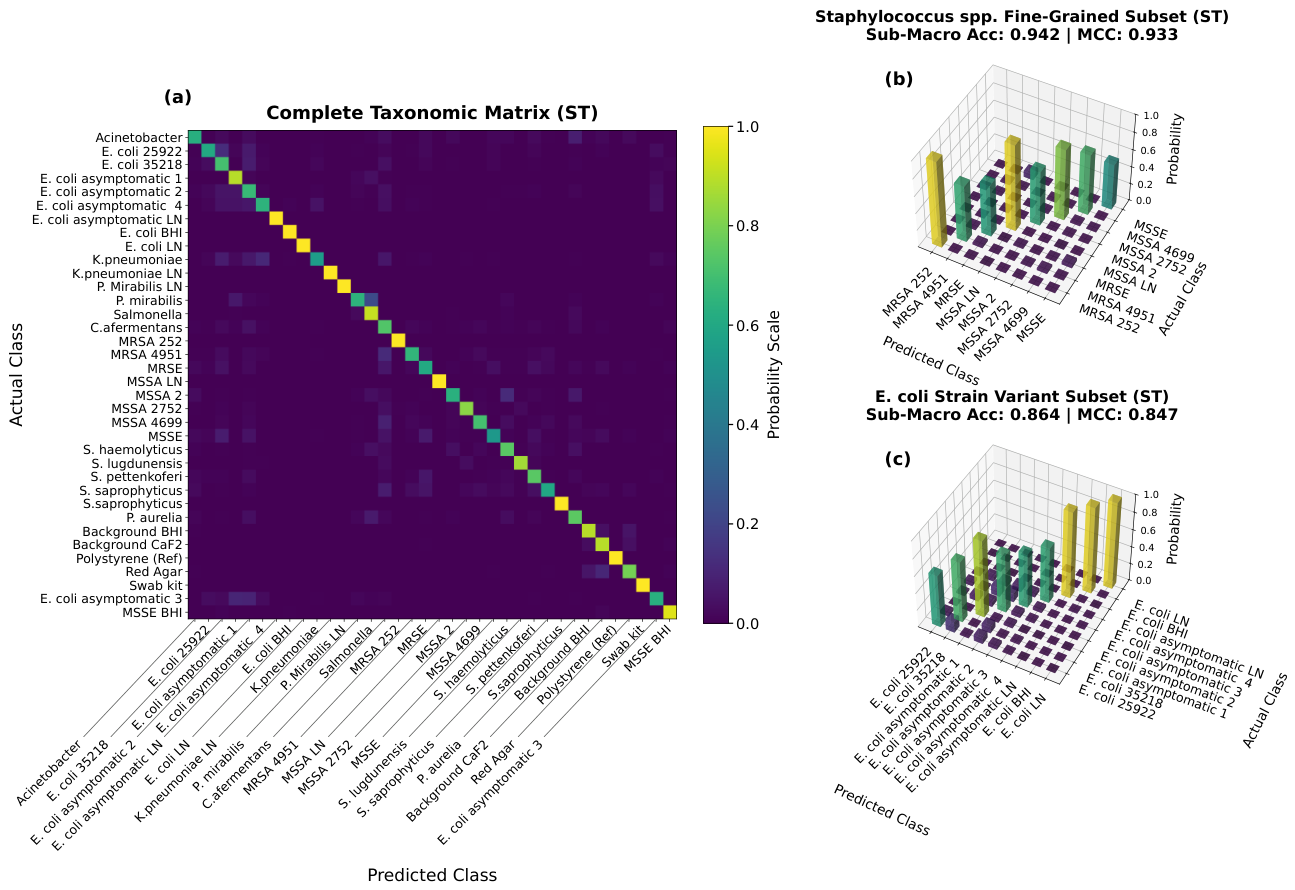 Preprints 217574 g004 Preprints 217574 g004