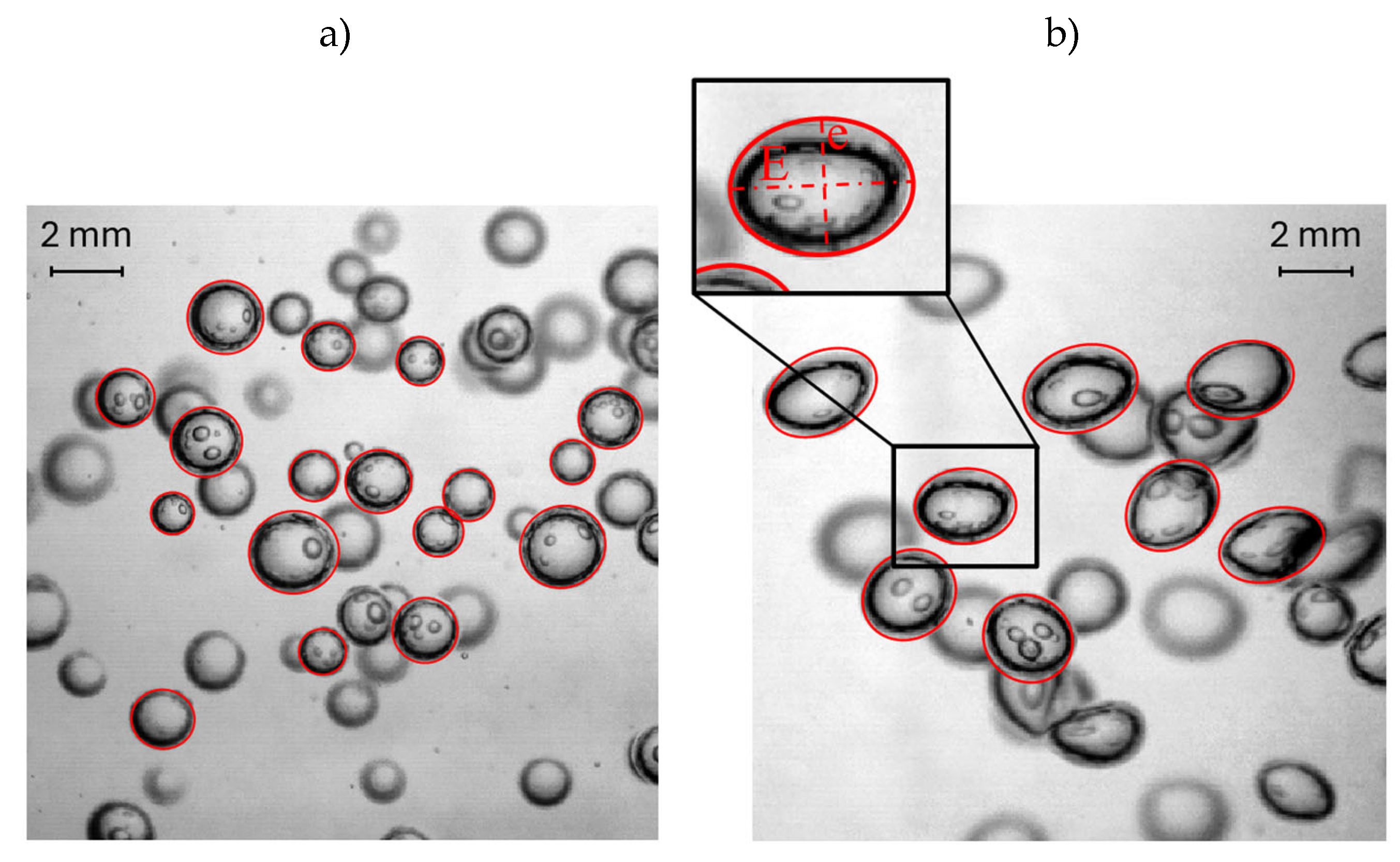 Preprints 185000 g002