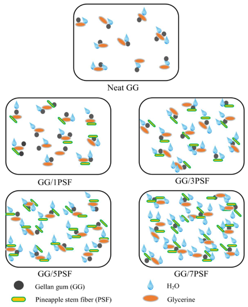 Preprints 226944 g005 Preprints 226944 g005