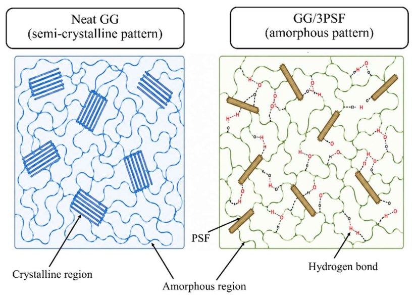 Preprints 226944 g009 Preprints 226944 g009