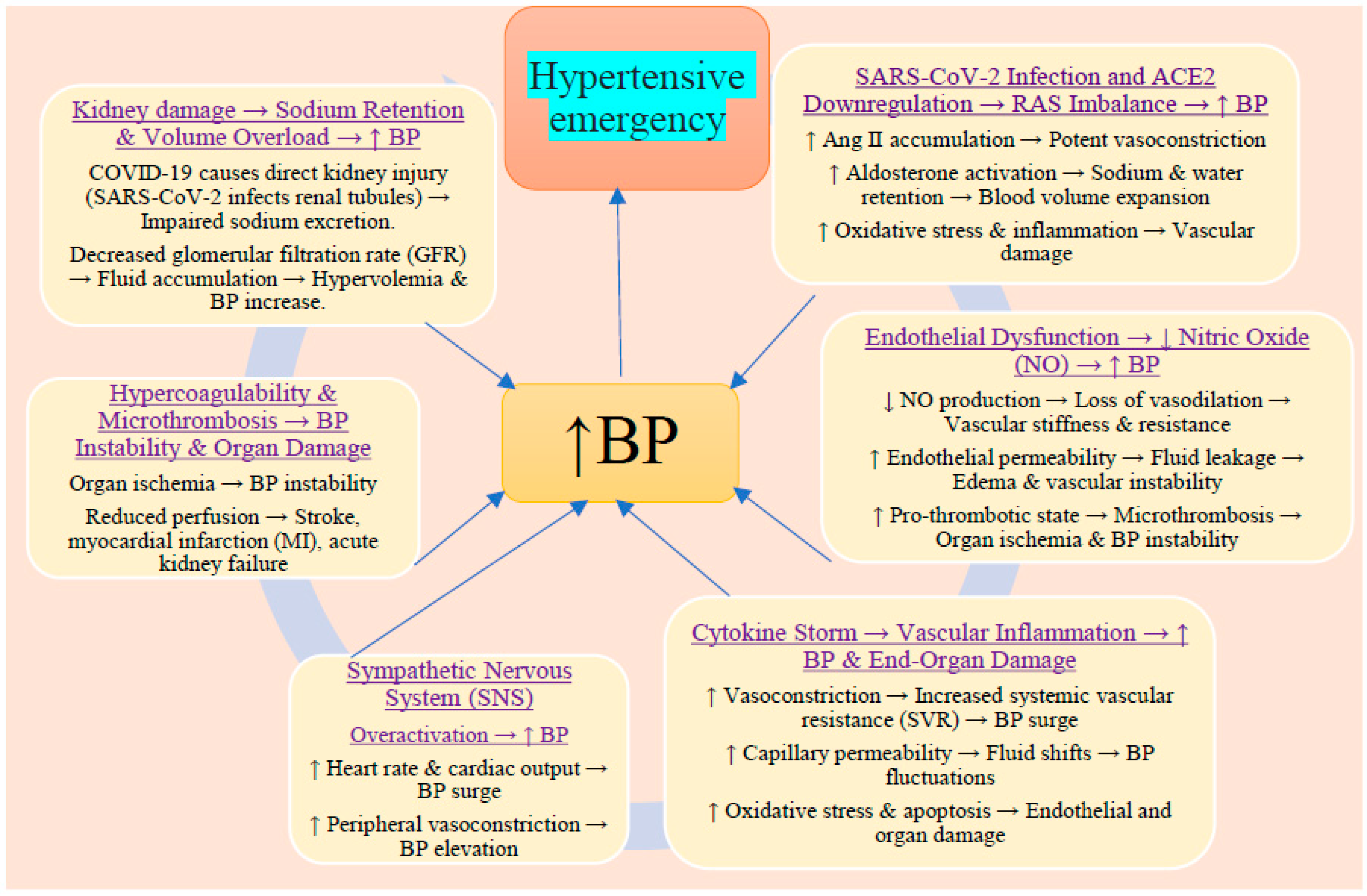 Preprints 154006 g001