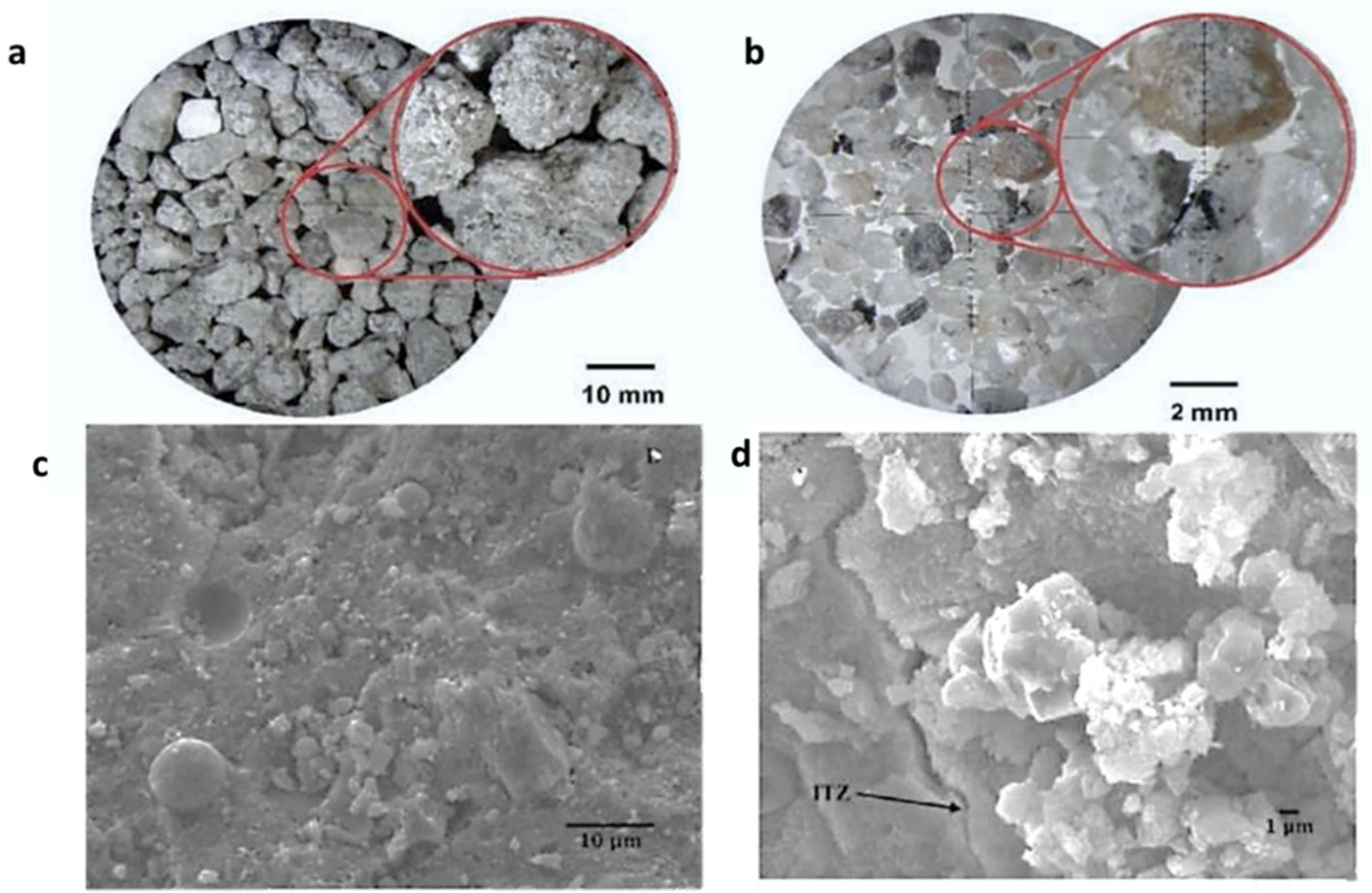 Preprints 143854 g001