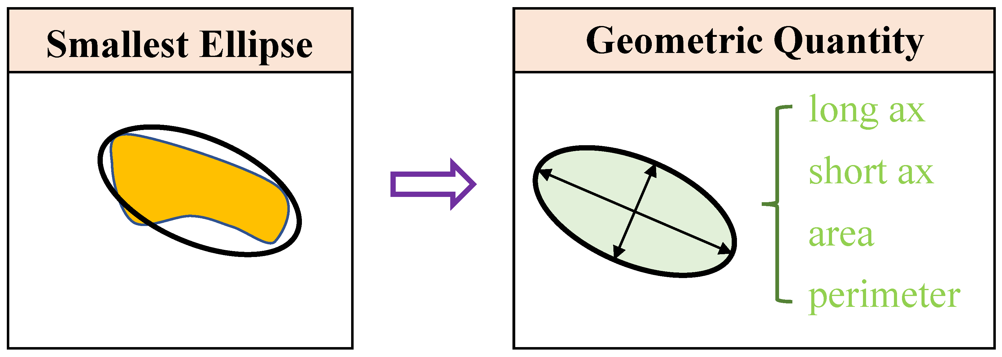 Preprints 165727 g001