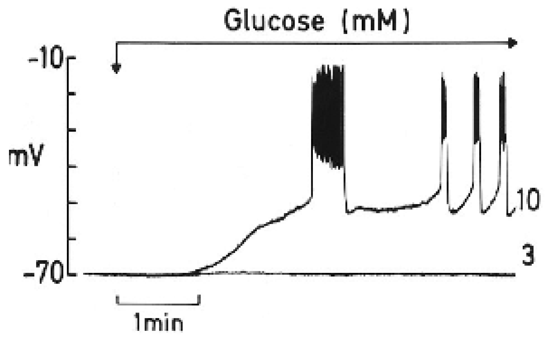 Preprints 170791 g002