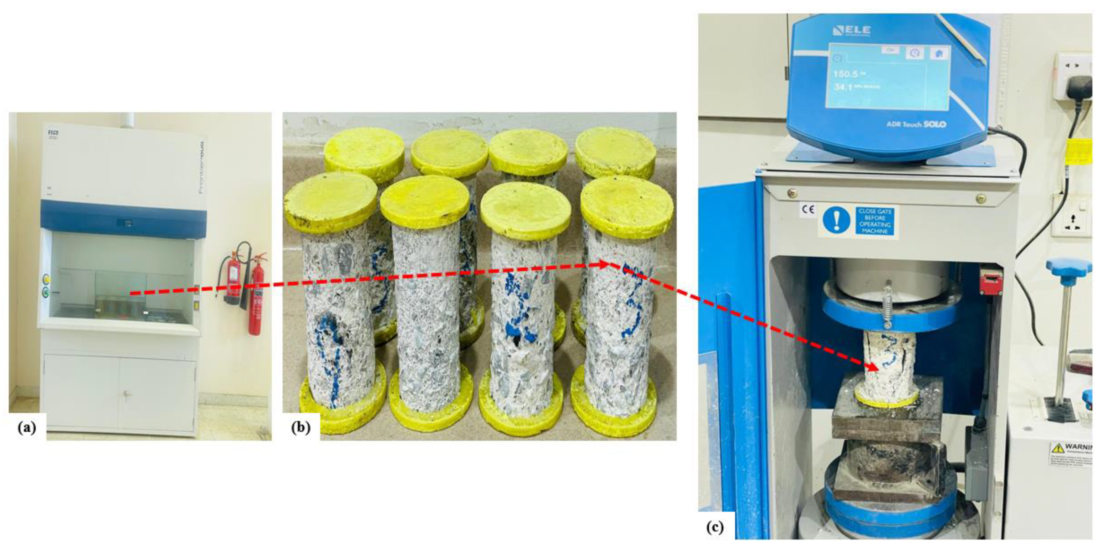 Preprints 157017 g013