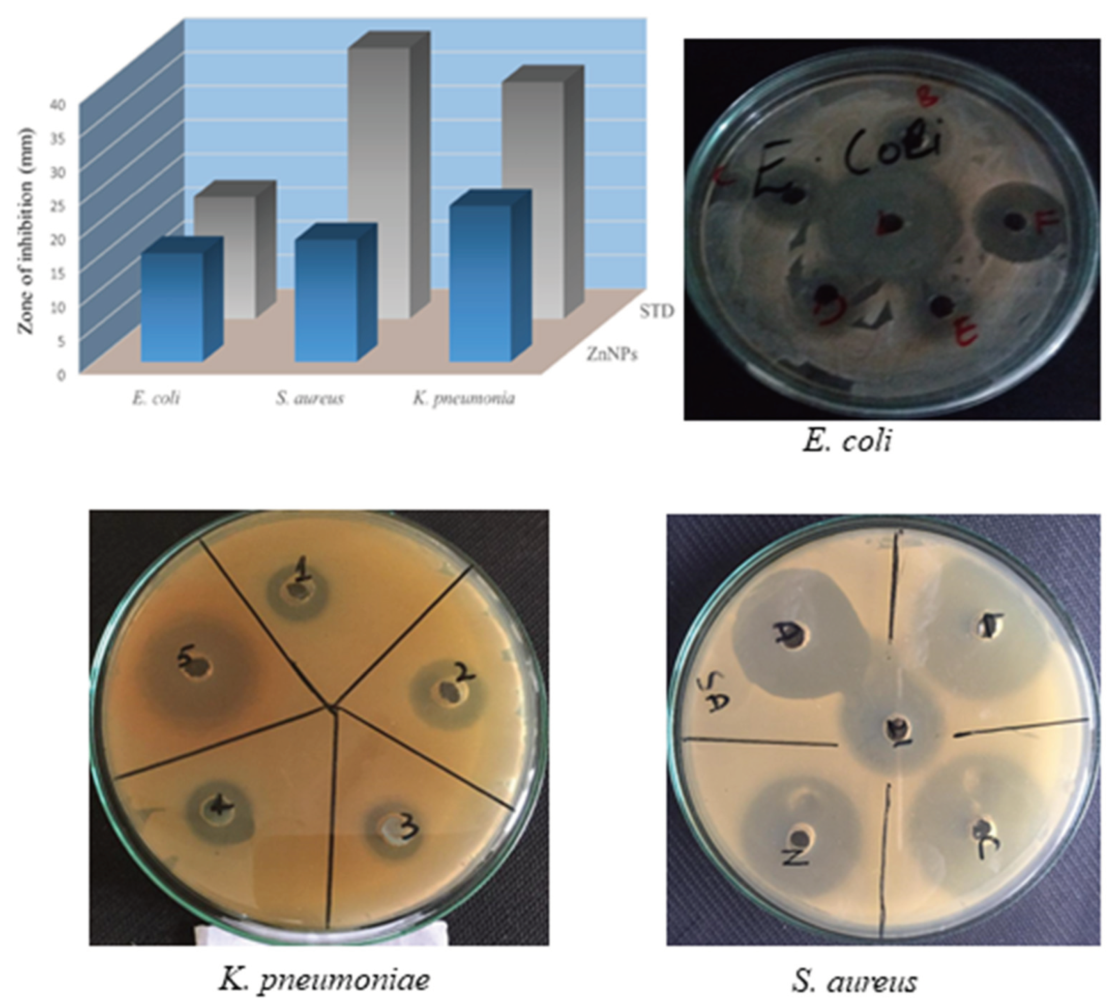 Preprints 102212 g003