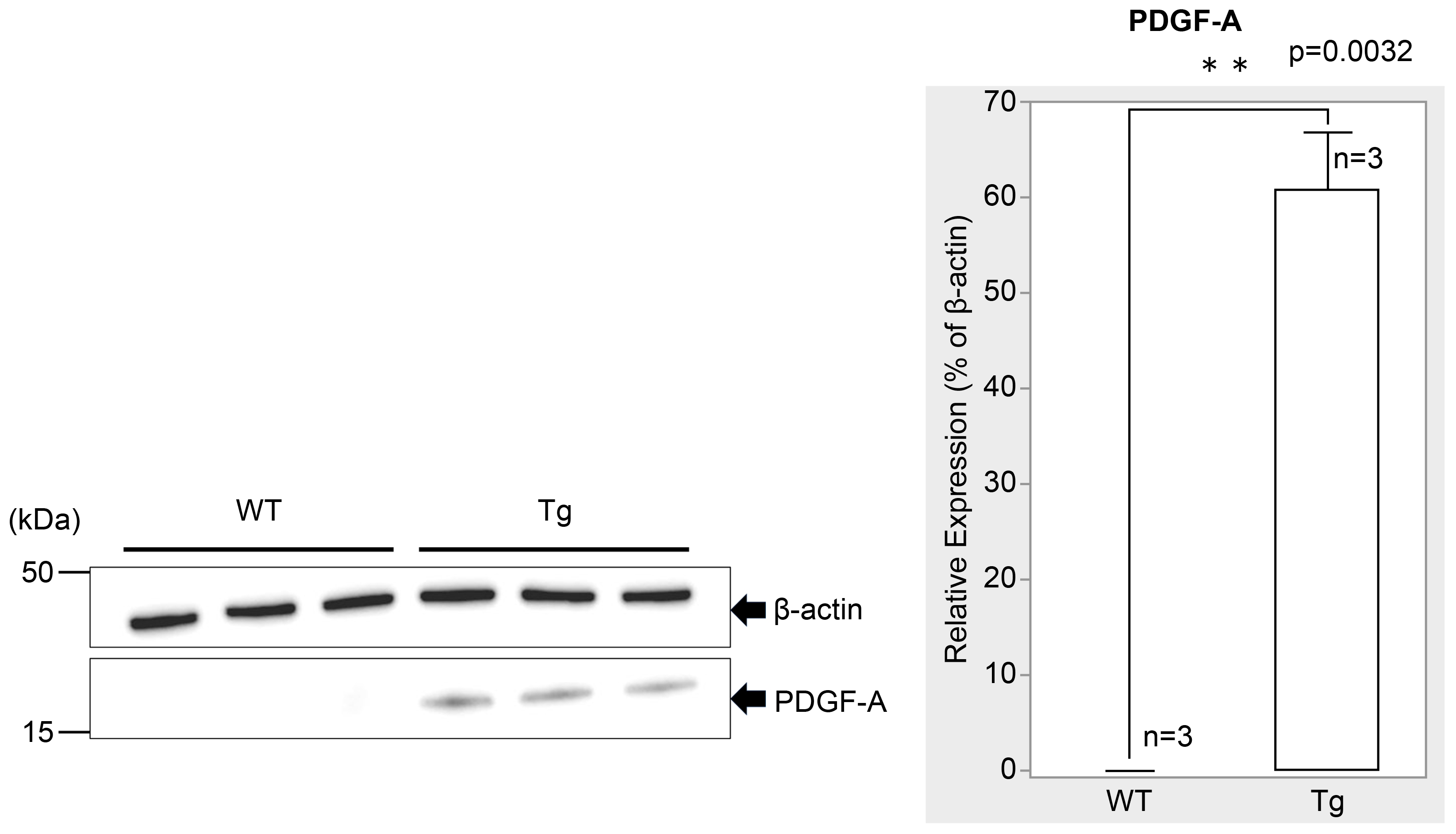 Preprints 139102 g002