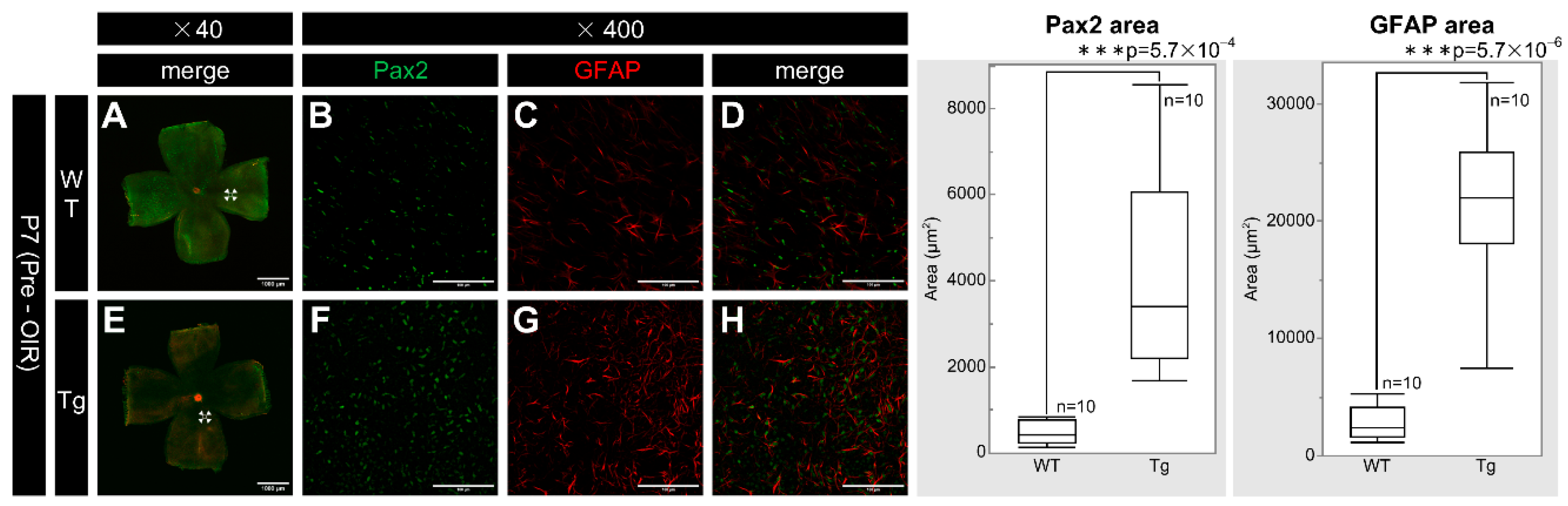 Preprints 139102 g003
