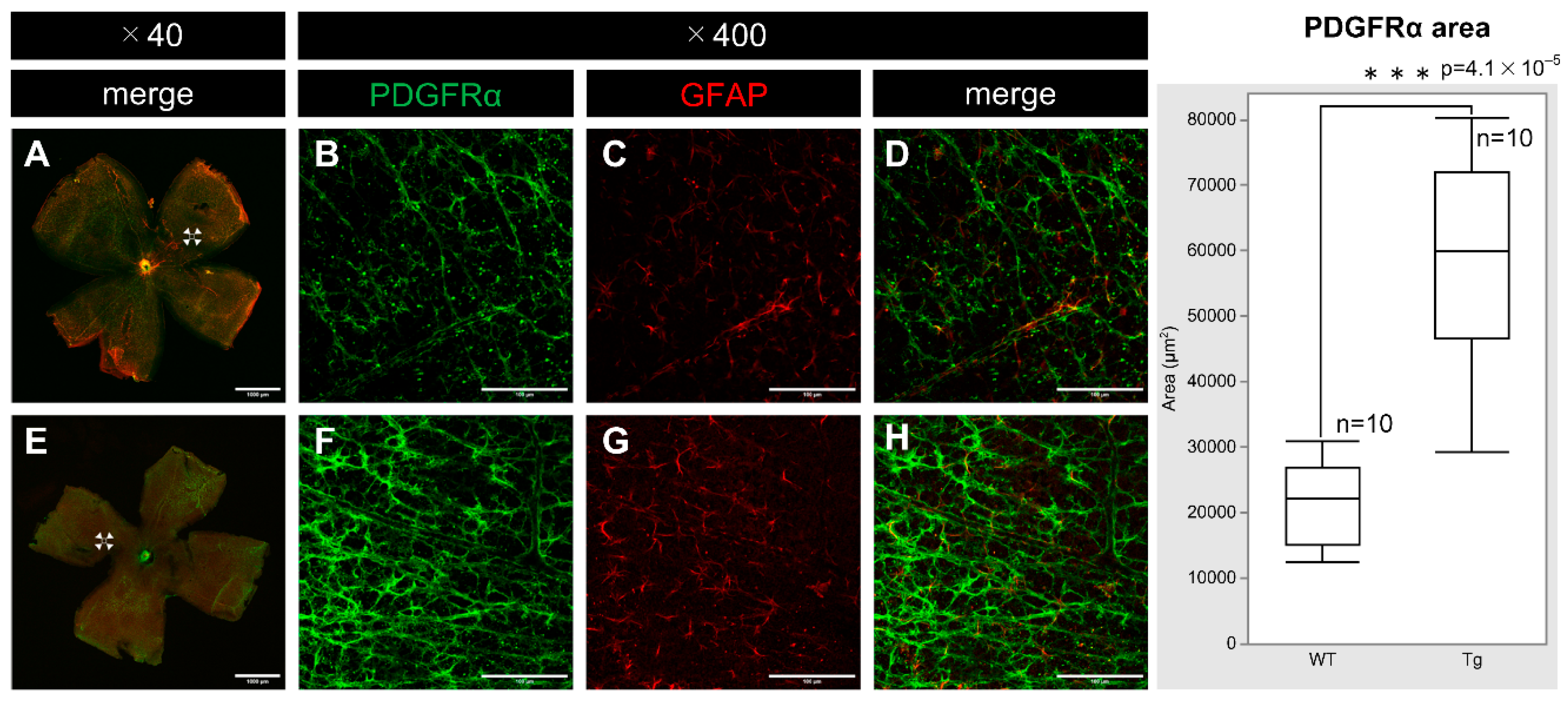 Preprints 139102 g004