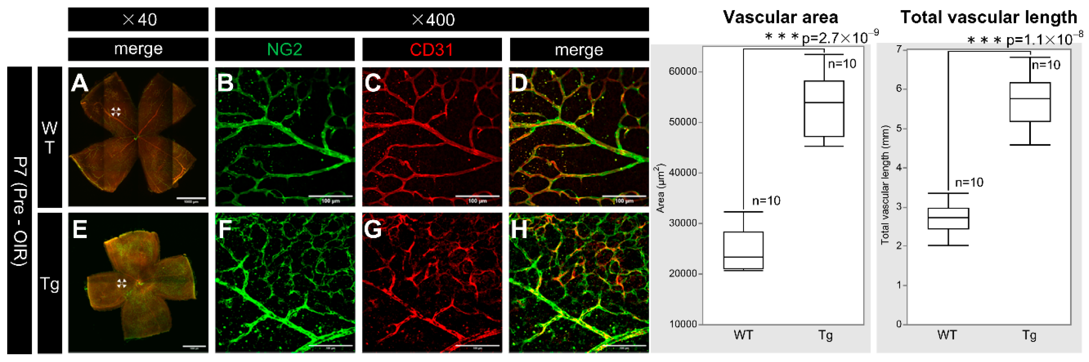 Preprints 139102 g005